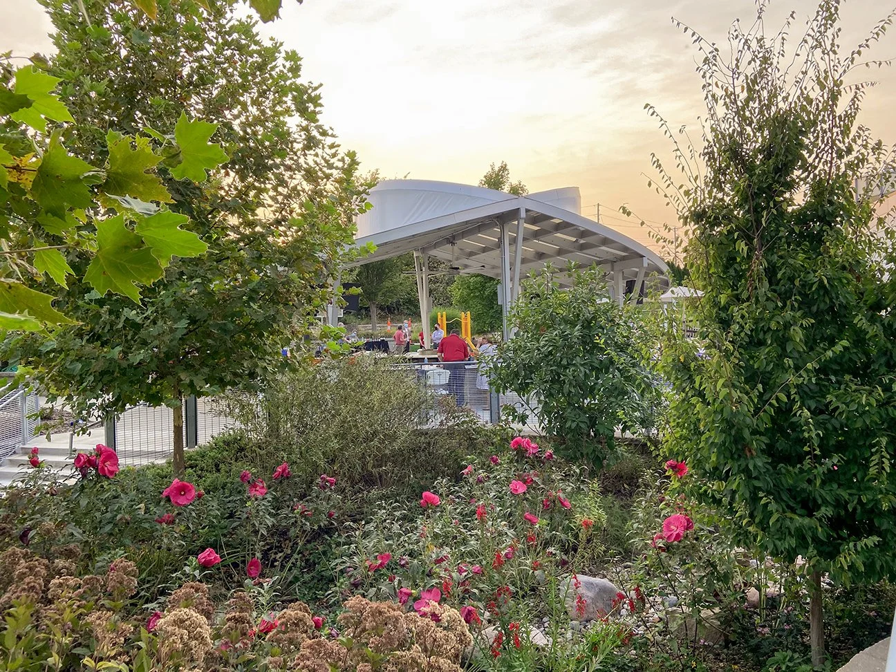 Ranken Therapy Garden (16).JPG