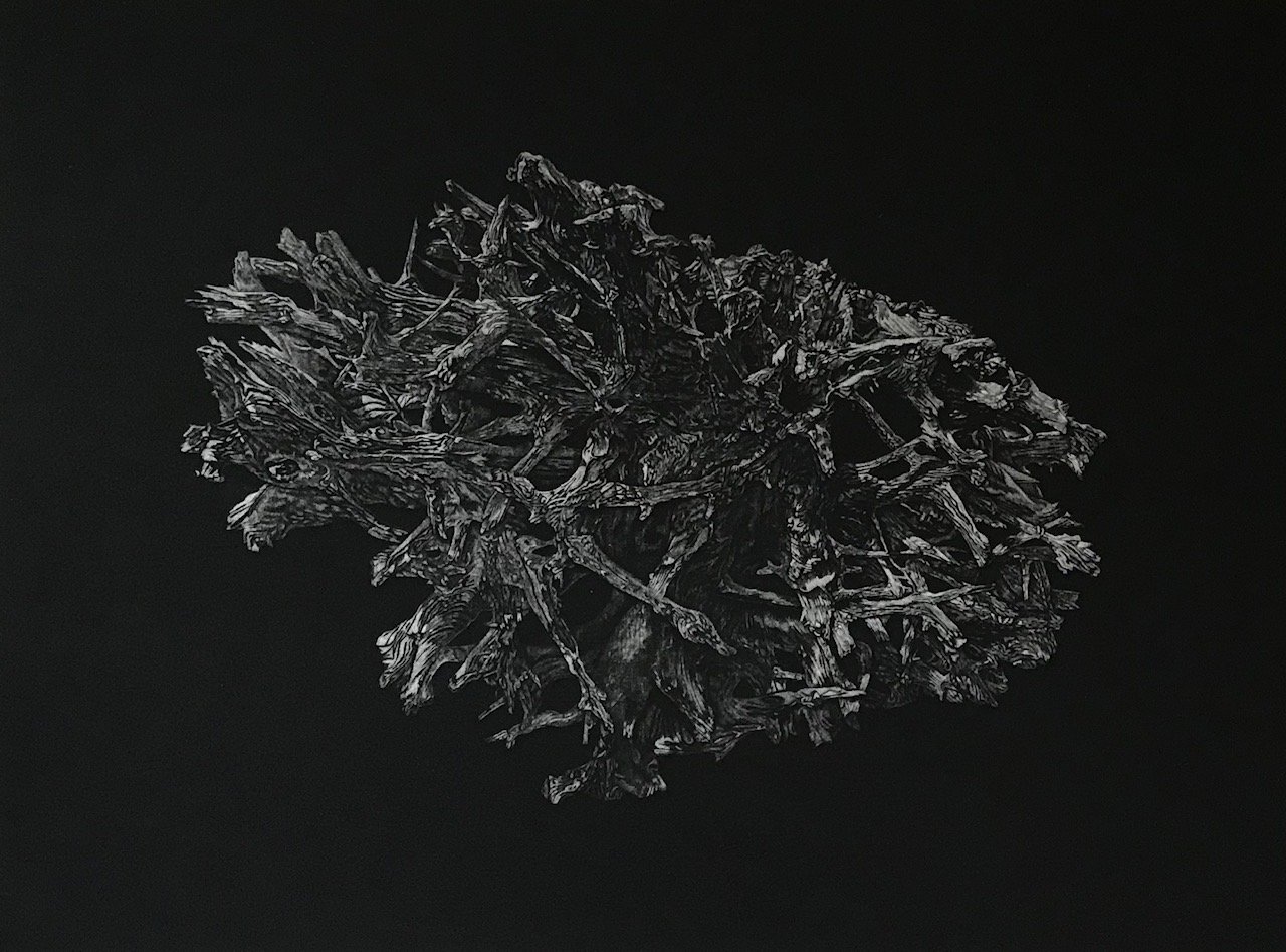 Underthing. Ed 10. 22.5x30 inches. Mezzotint on rag paper