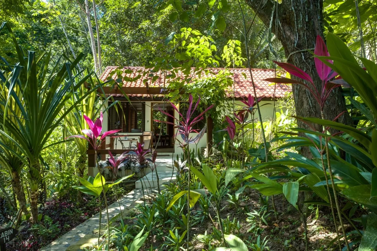 cabin front.jpg