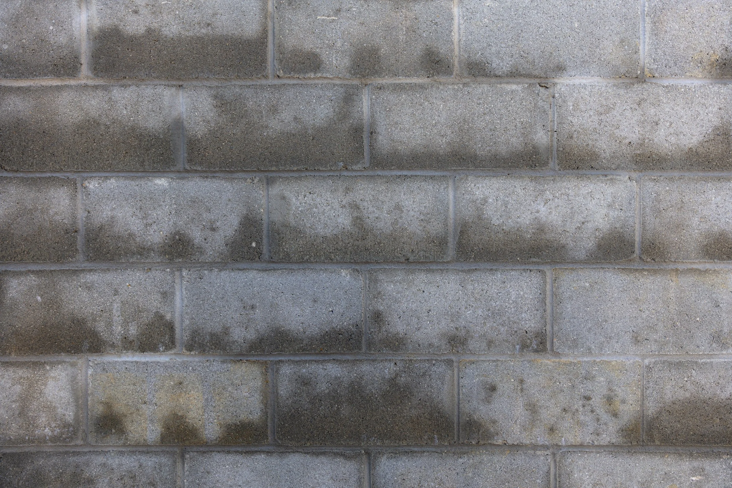 A wall of damp cement bricks where there is a water leak