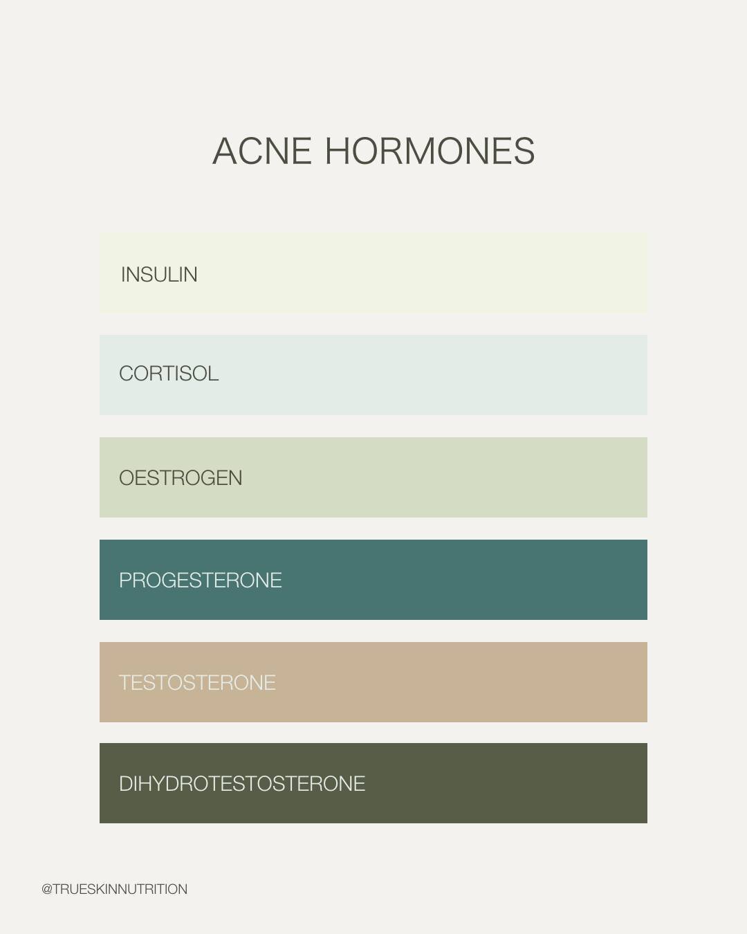 our poor old sex hormones always seem to get a lot of the blame when it comes to acne. ⁠
⁠
But I'm going to let you in on a little secret....⁠
⁠
You've got to think about more than just sex hormones when you are treating hormonal acne, or any acne fo