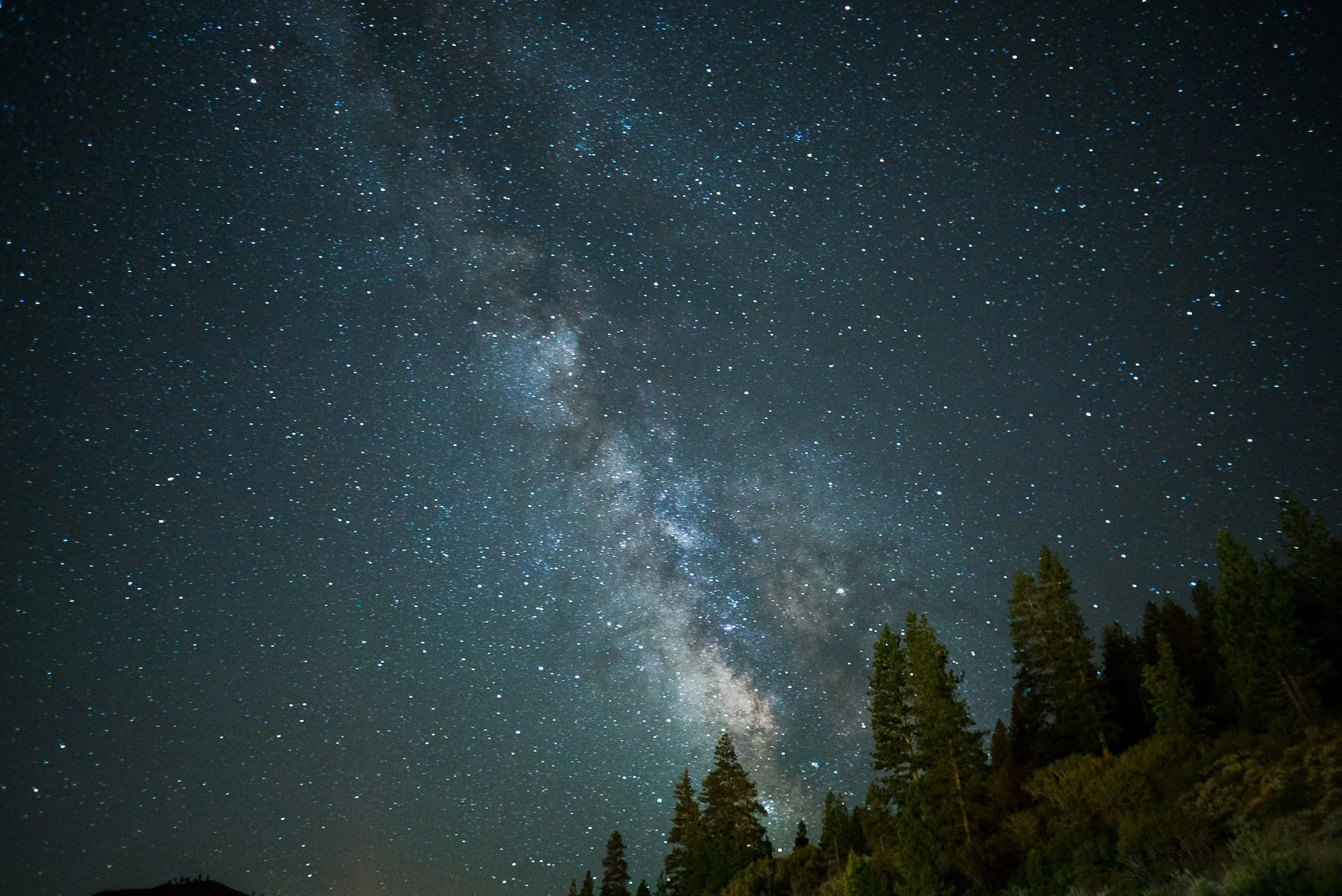 Night sky filled with stars and the Milky Way galaxy, with silhouettes of tall trees at the bottom.