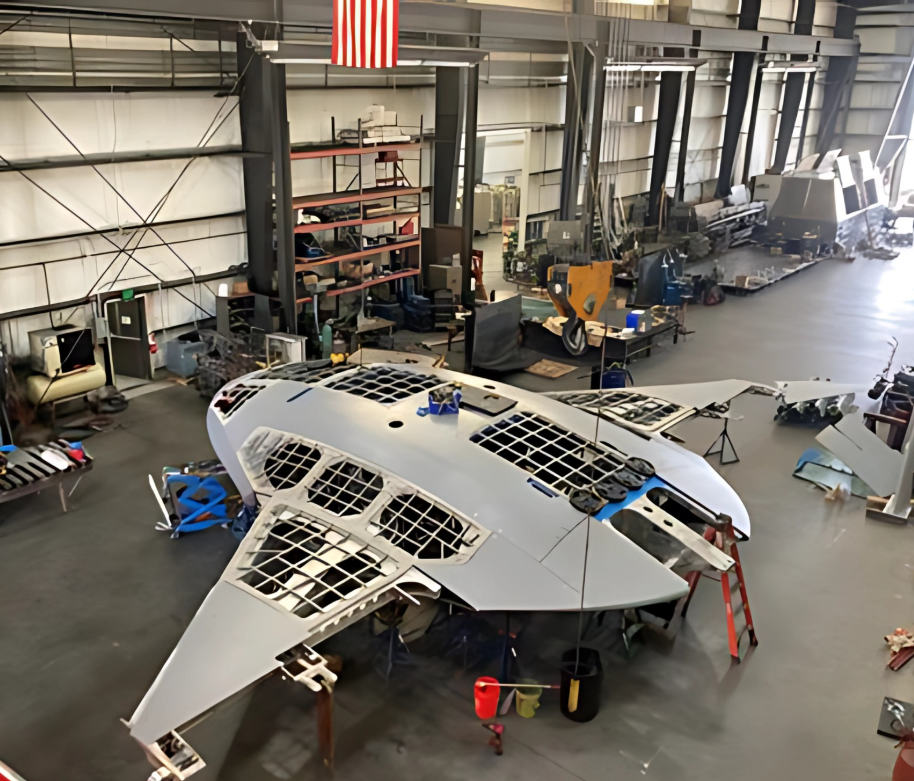 Manta Ray Drone