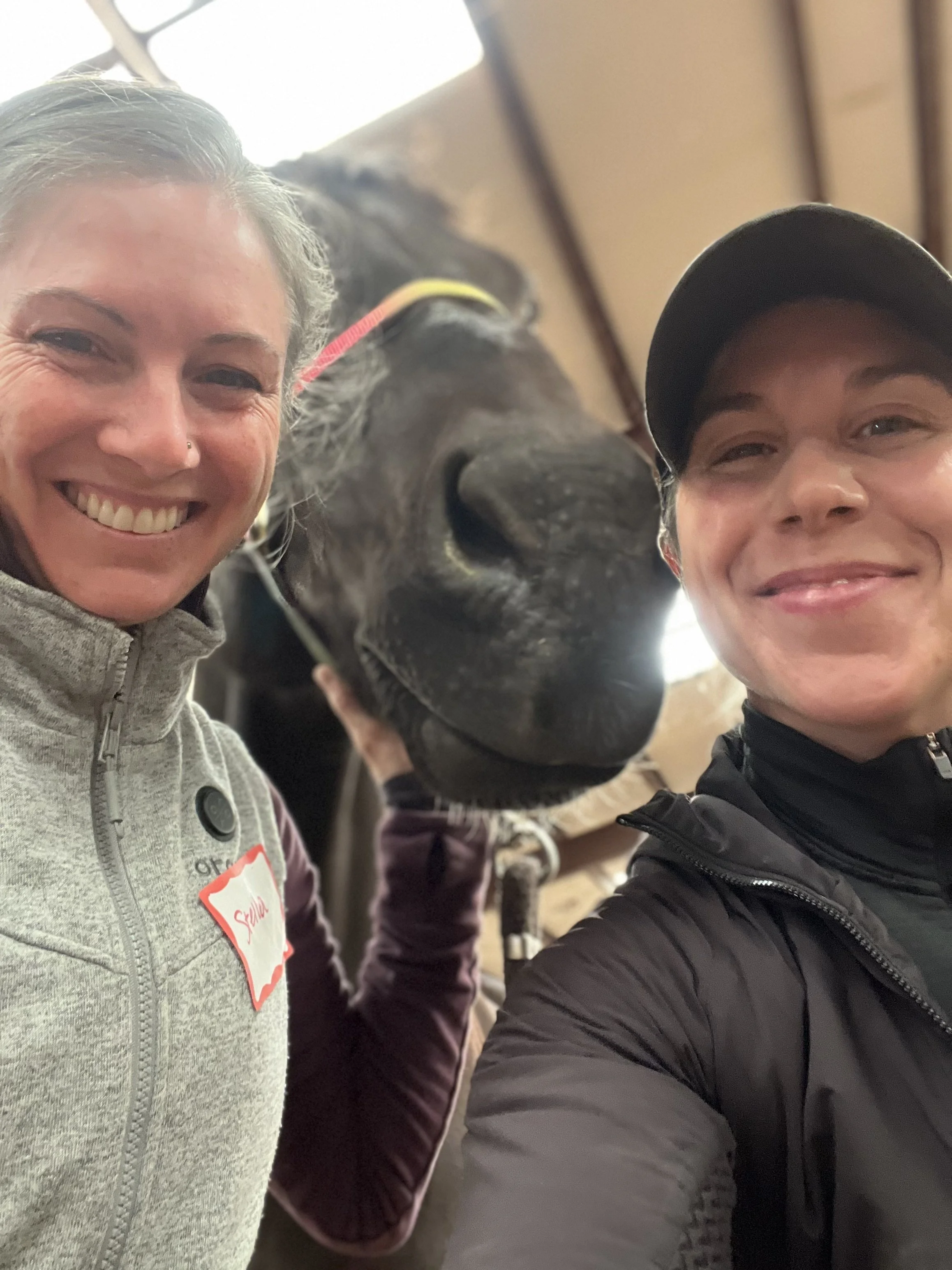 BSR Session One: Day Three