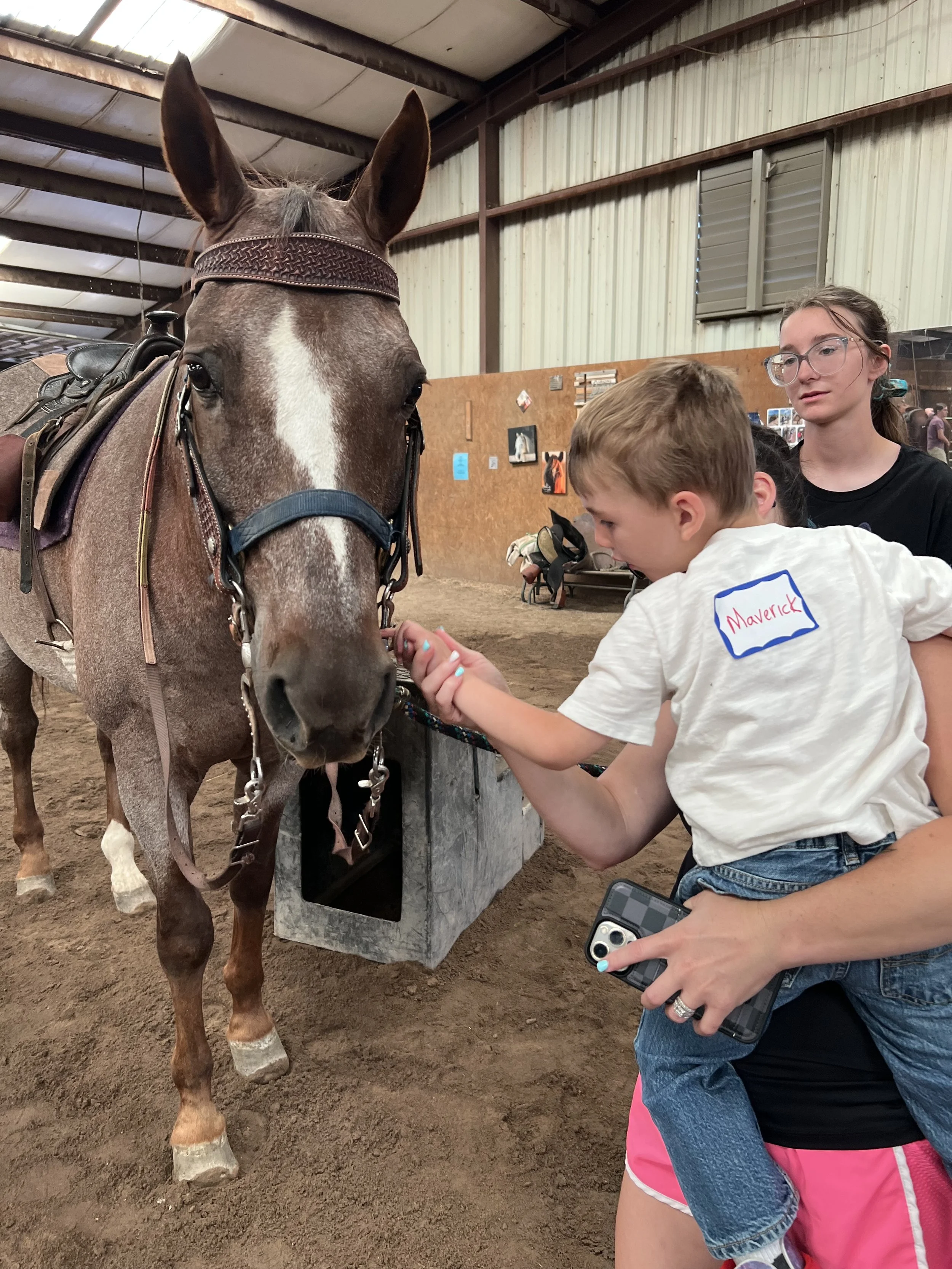 BSR Session Two: Day Three