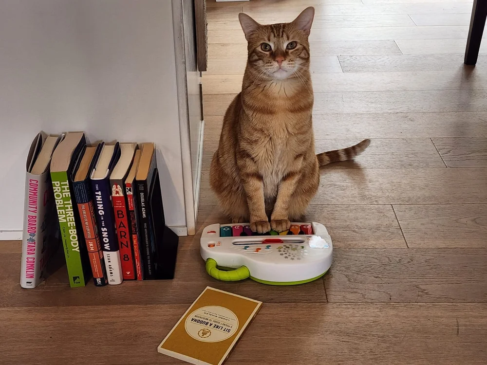 Yoda Playing Piano at his Library.jpeg