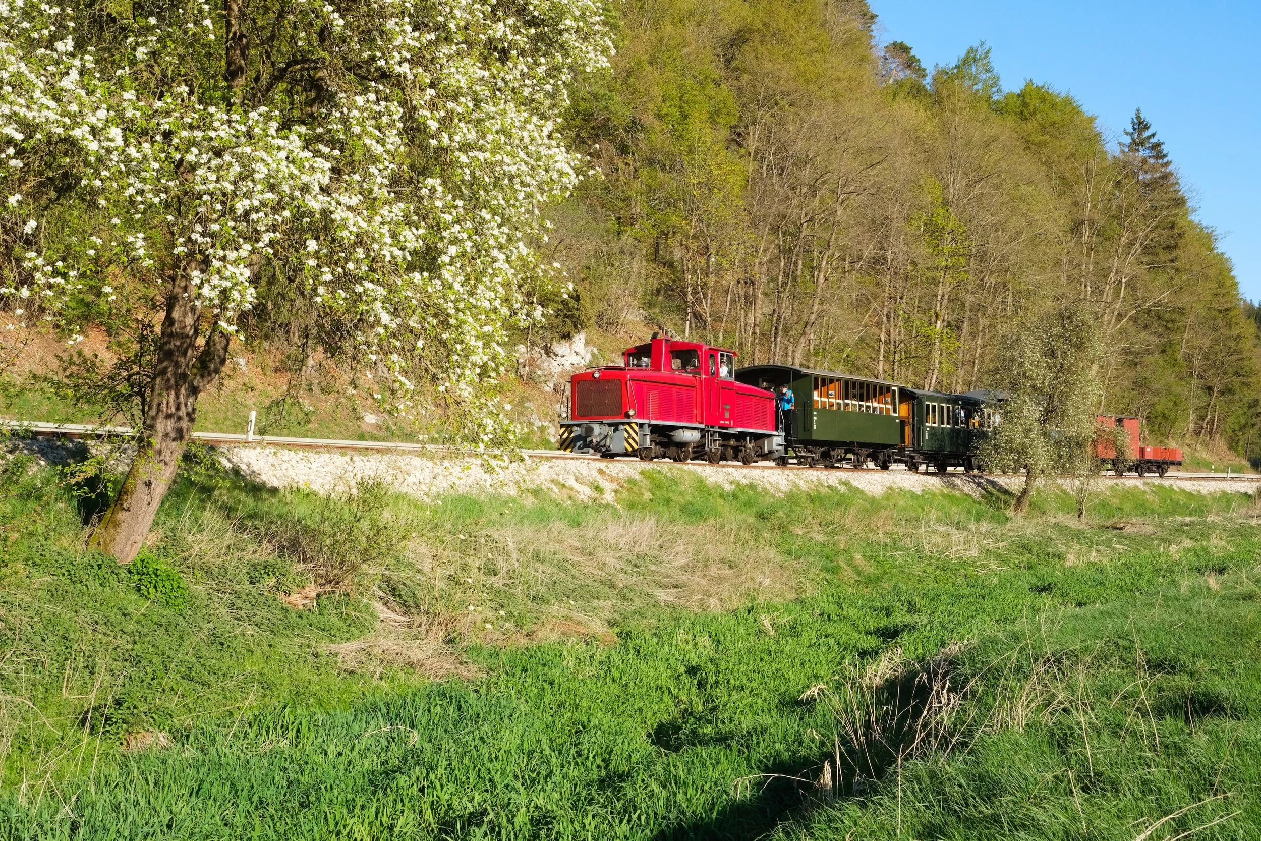 D4 Jumbo (HMB) Sägmühle - Steinmühle