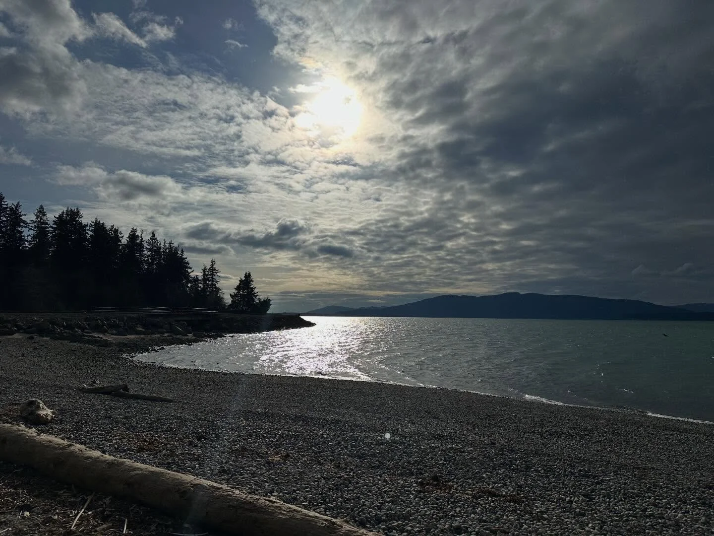 Dreaming the Real

I&rsquo;m lying down looking at the colour

of sky falling through trees, dreaming

the real, tasting what it feels like to love it.

Why did it take me so long to let go, simply

exhale, so the day could breathe itself in

and ope