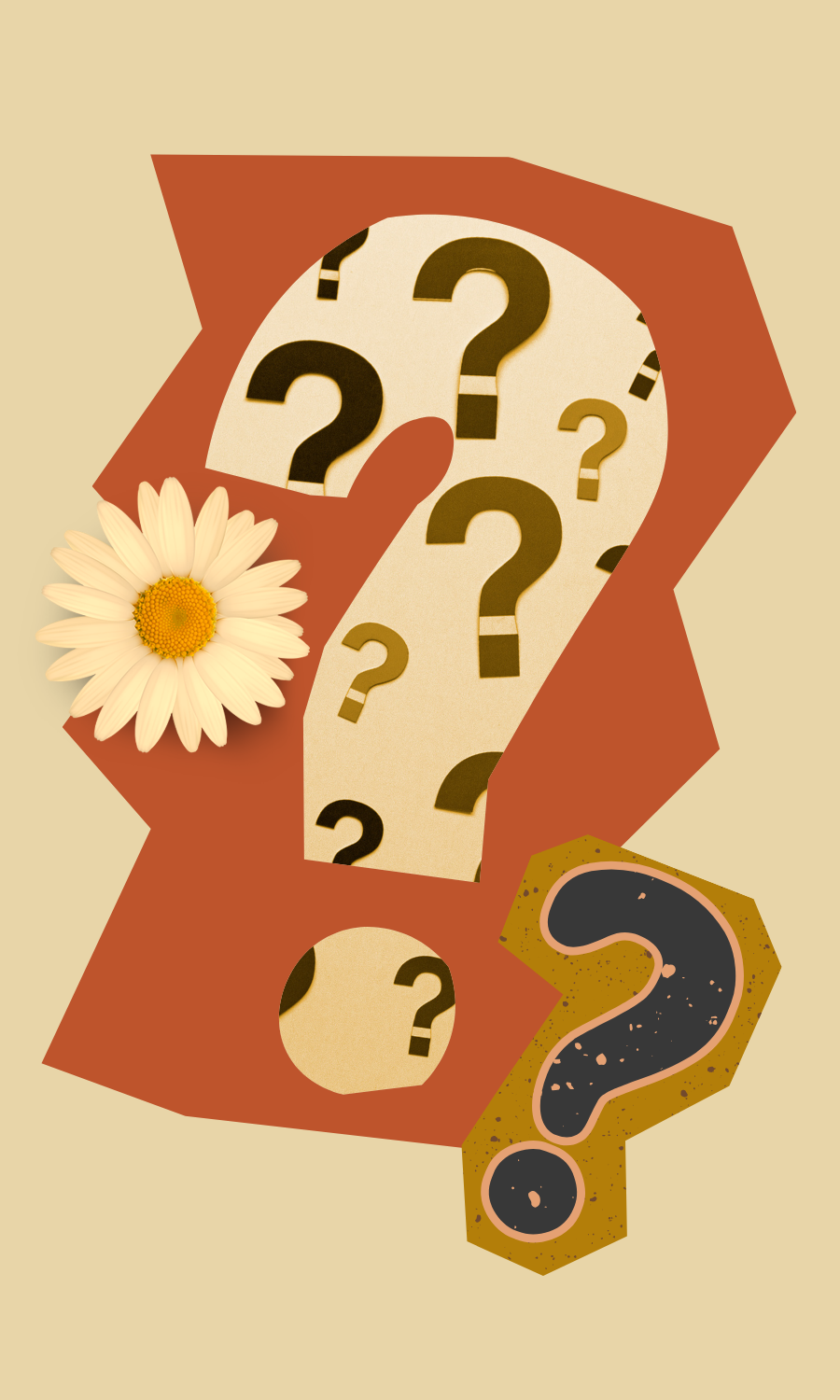 A collage of question marks in various sizes and colors with a white daisy flower on the left side, and a large dark brown question mark with a speckled texture on a yellow background on the right side.