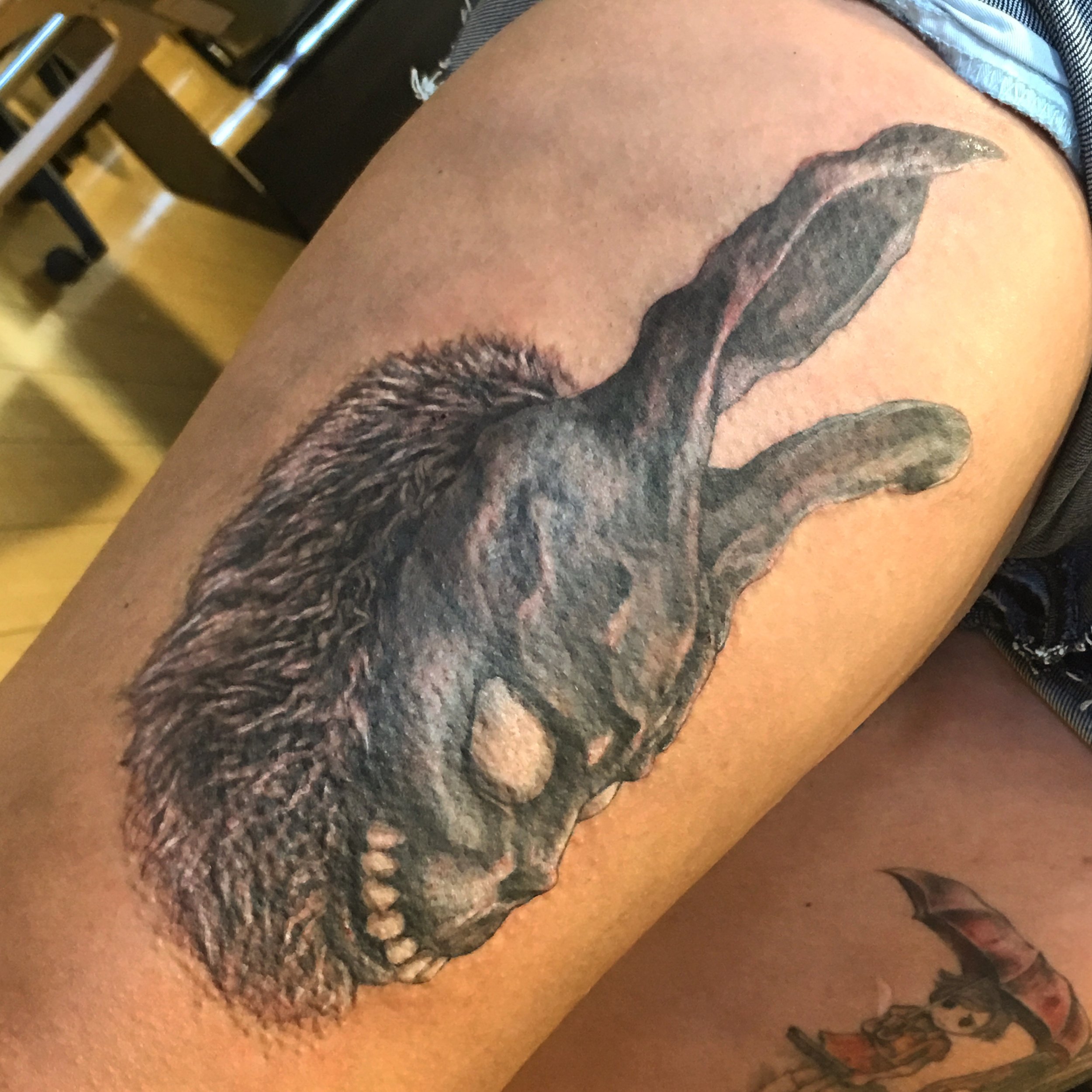 Ren Gallery — Albatross Tattoo