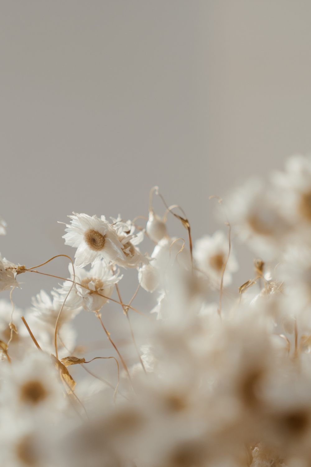 A calming meditation your find your balanced state