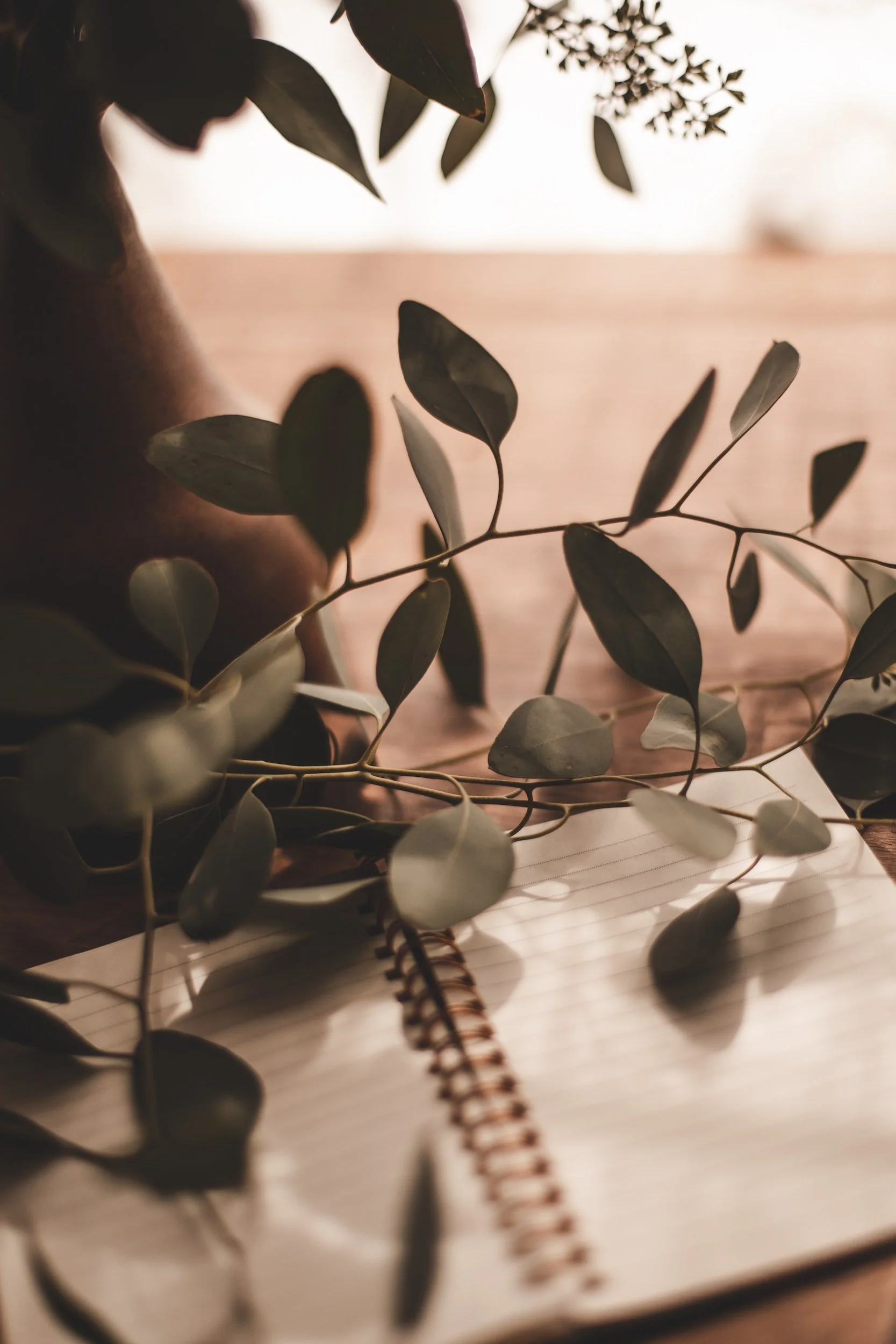 Journal with me through the Winter Solstice