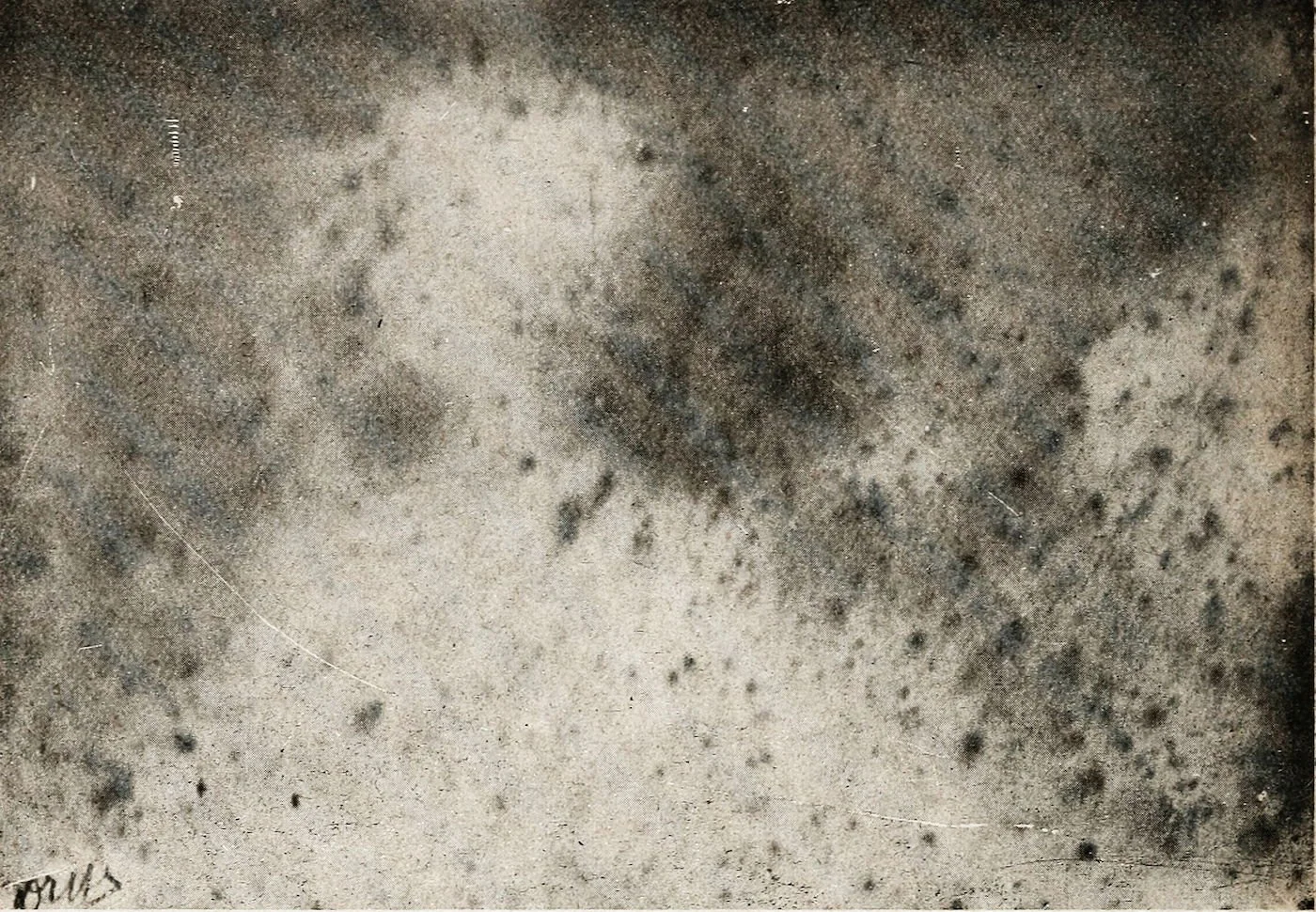 resting our creative bones