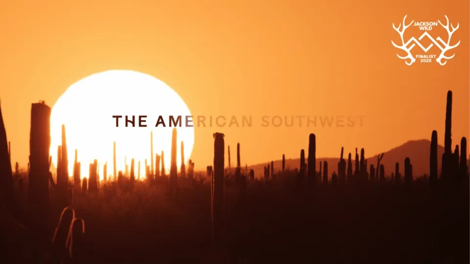 Wild Festival | Wyoming Premiere: The American Southwest