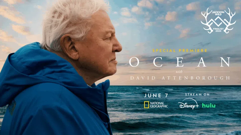 Wild Festival | Film Screening & Panel: Ocean with David Attenborough