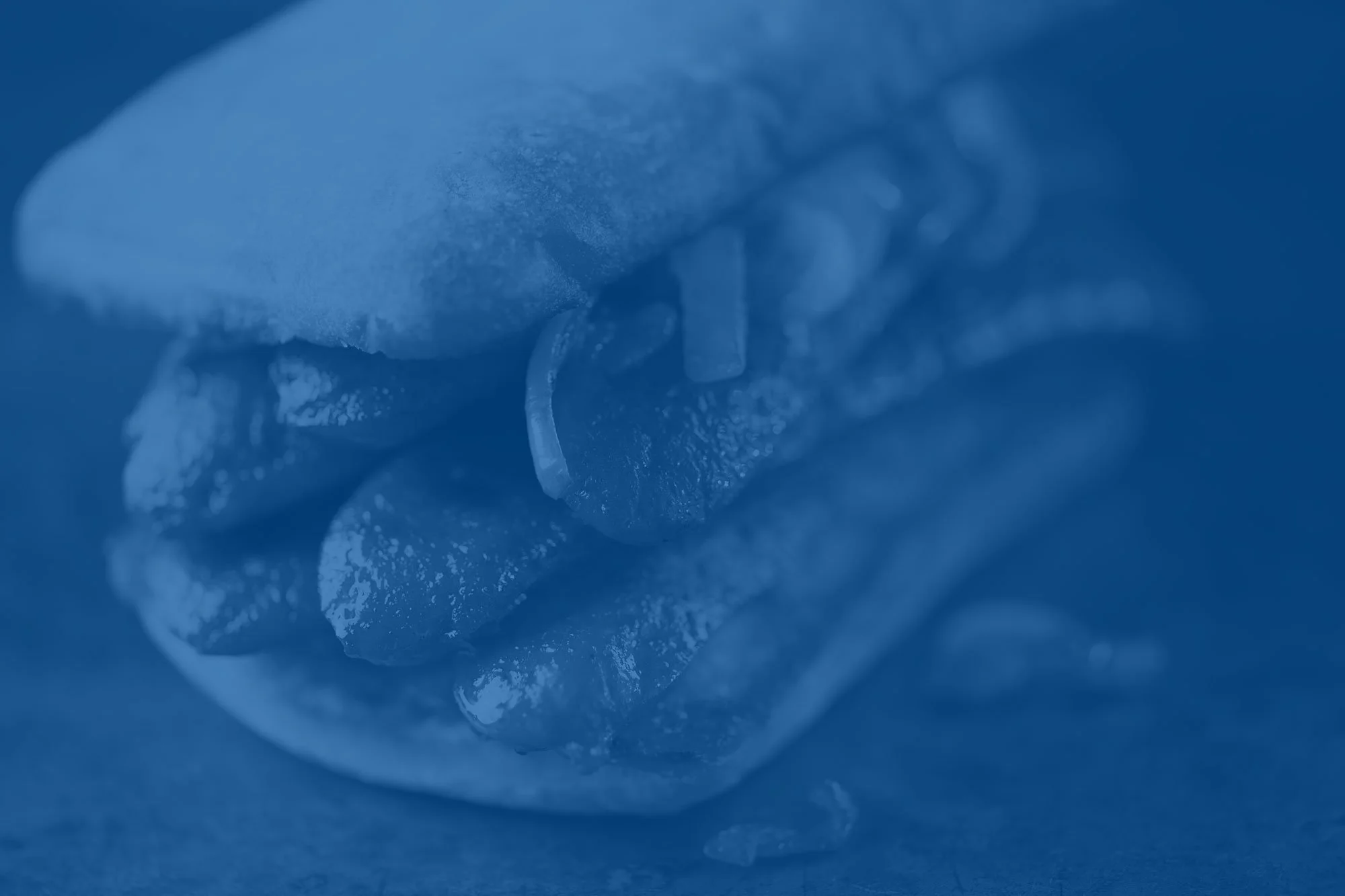 recipes-banner.jpg