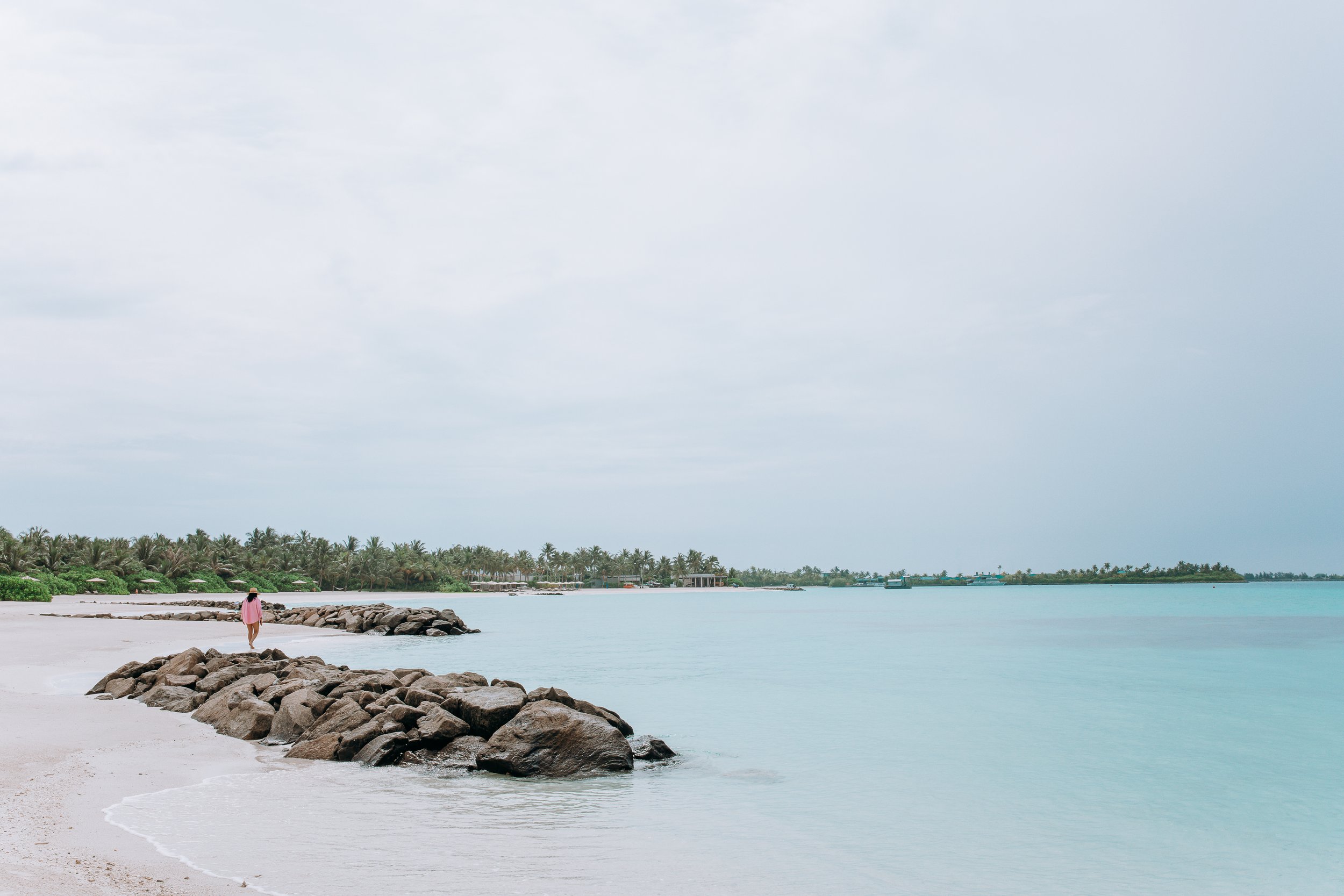 CCR53949.jpg