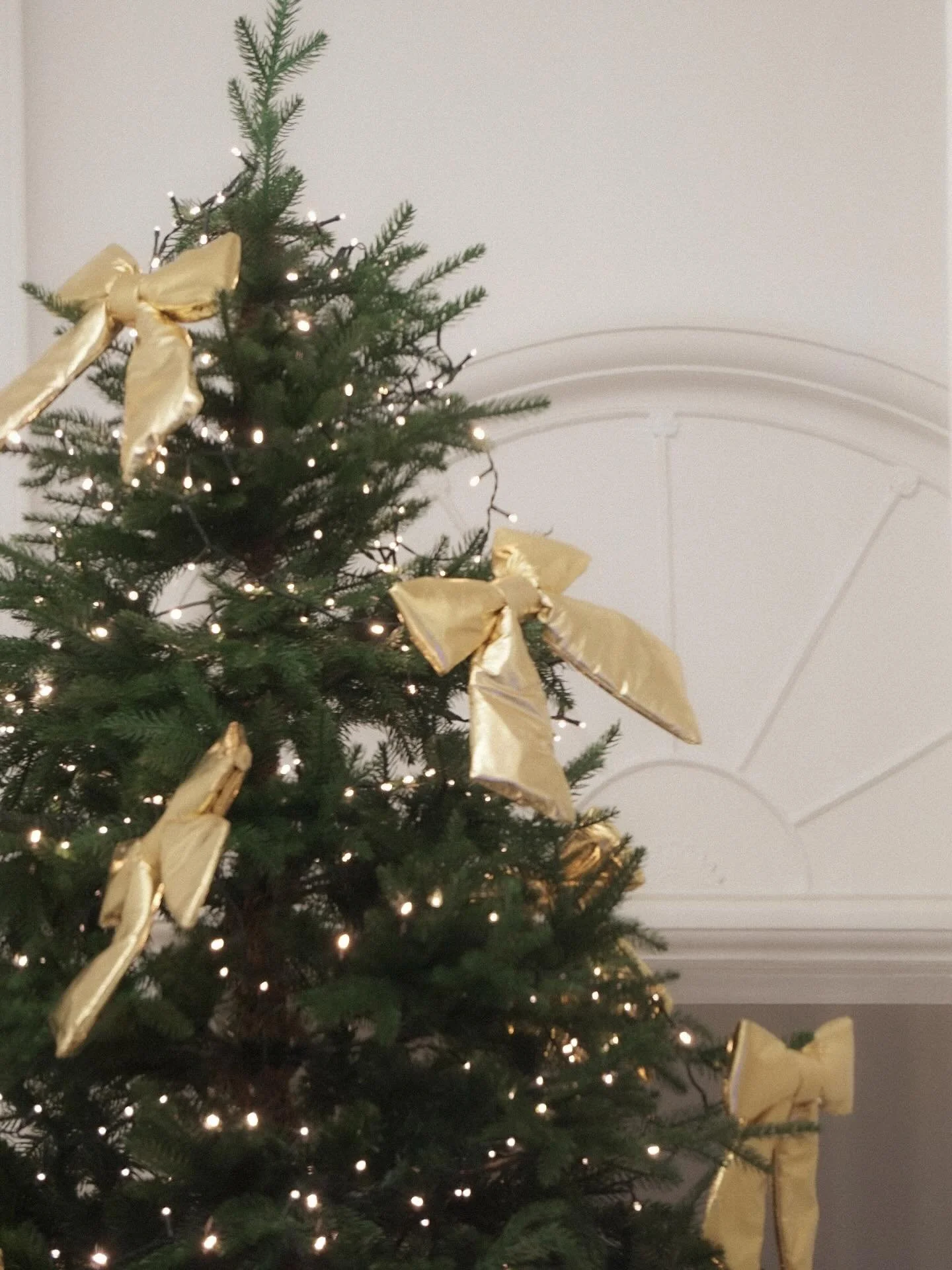 ✨Sending Warm Wishes from the GSPR Family! We want to extend our heartfelt gratitude and joy to each and every one of you. Your support and partnership have made this year truly special.

May your homes be filled with laughter, your hearts with love,