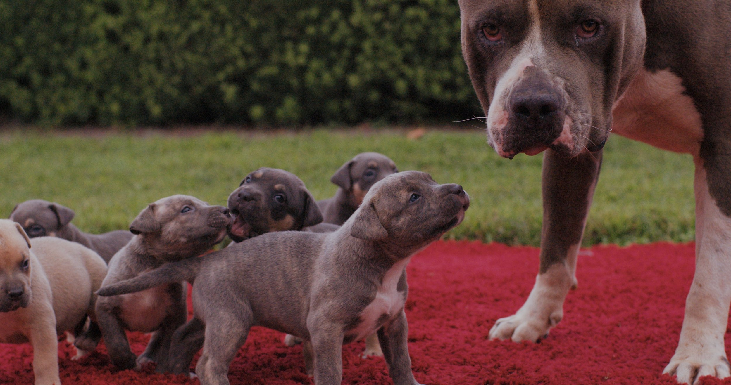 dad_RAW medium.00_03_16_15.Still050.jpg