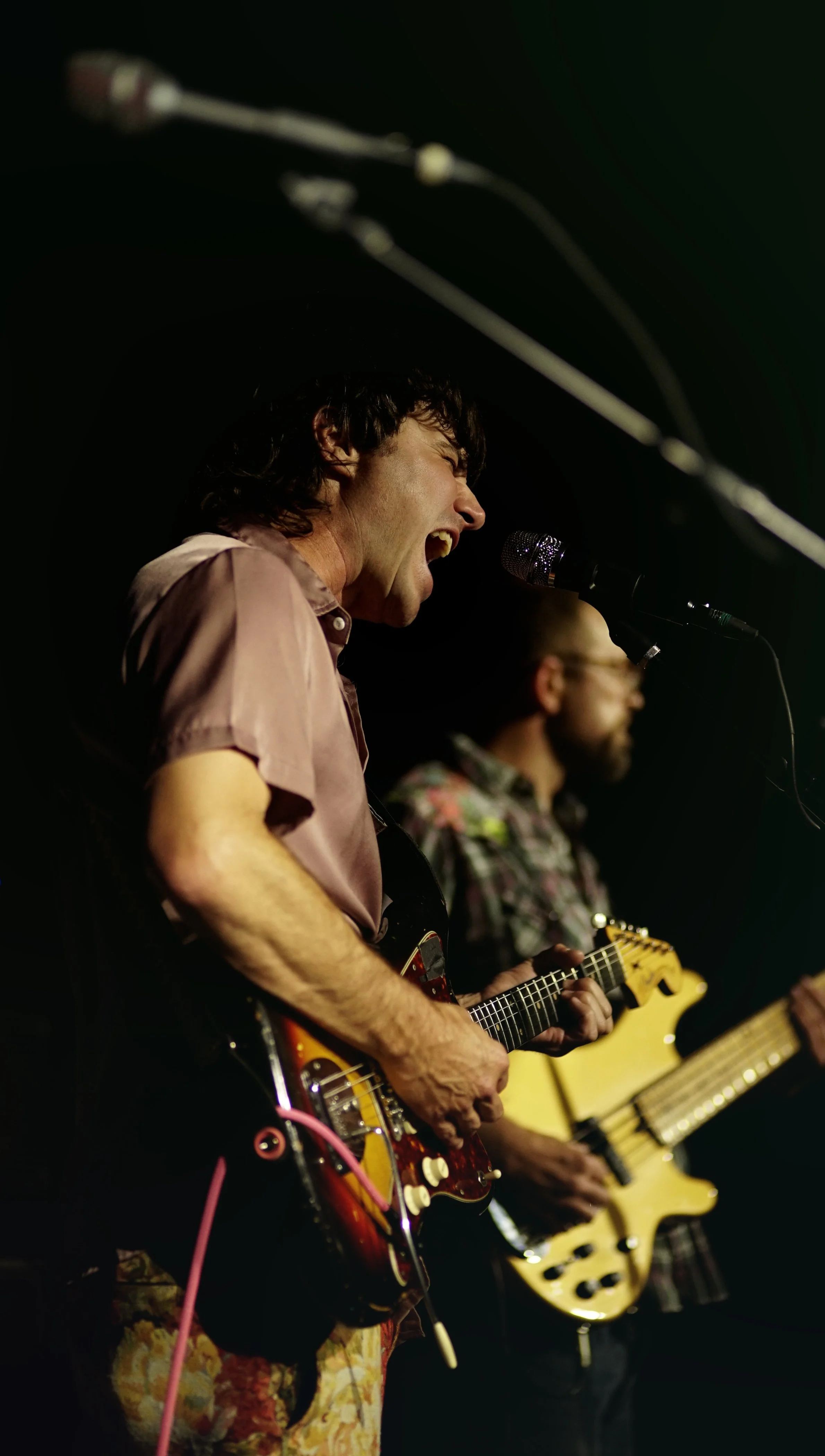 STILLS vertical.00_00_03_20.Still014.jpg