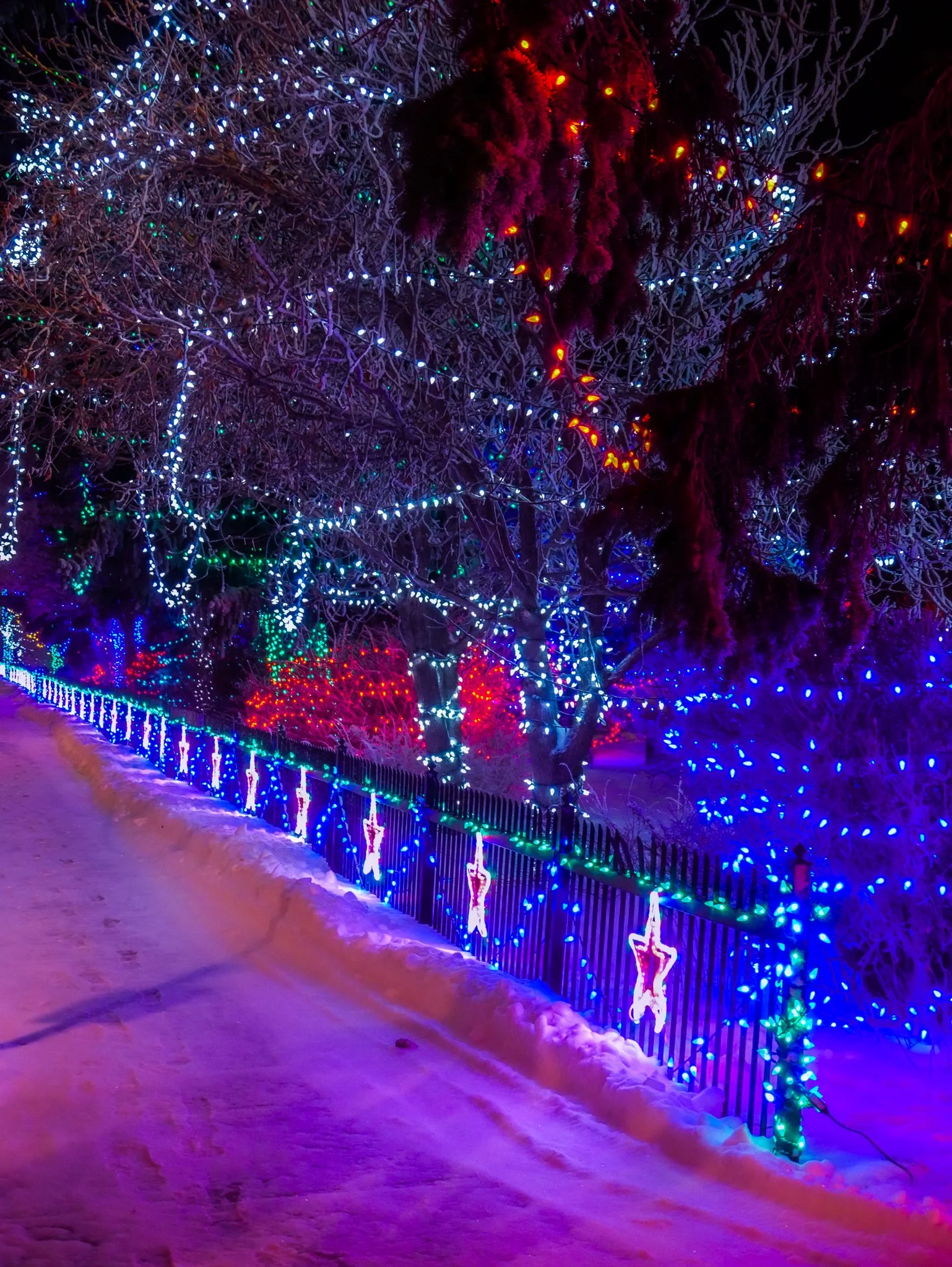 City of Lacombe | Lacombe Memorial Centre | Christmas Light Display