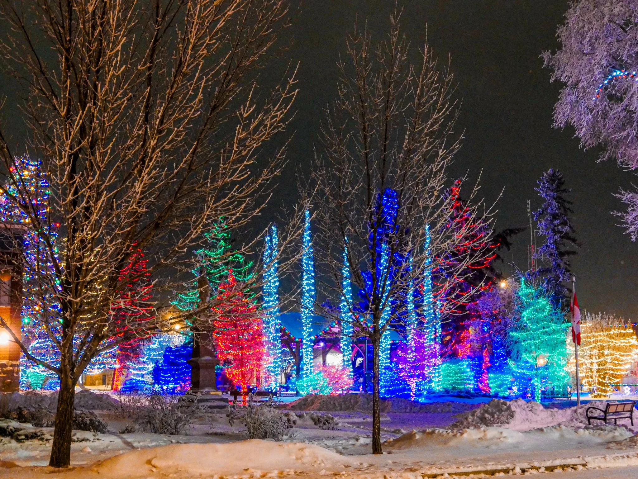 City of Lacombe | Lacombe Memorial Centre | Christmas Light Display