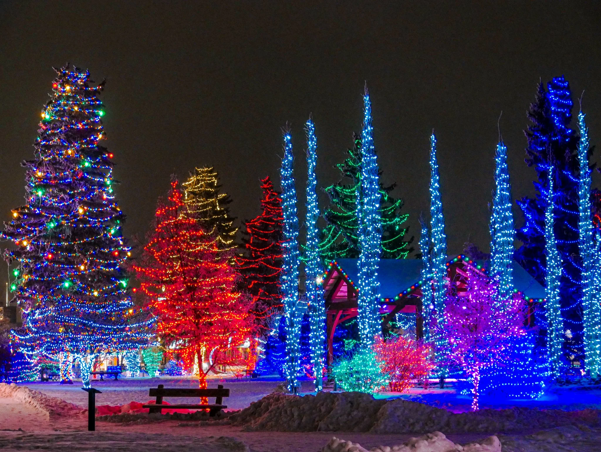 City of Lacombe | Lacombe Memorial Centre | Christmas Light Display