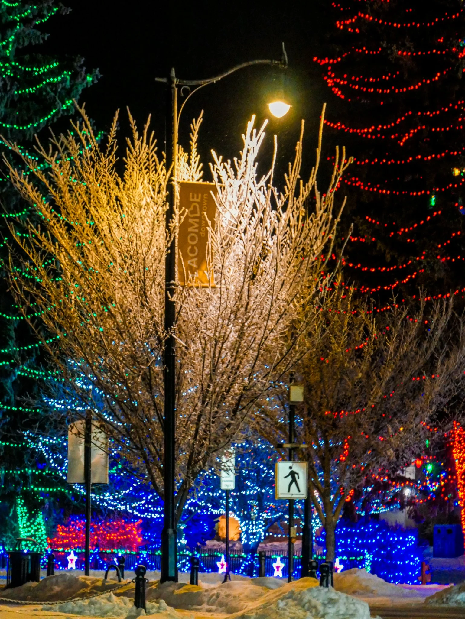 City of Lacombe | Lacombe Memorial Centre | Christmas Light Display