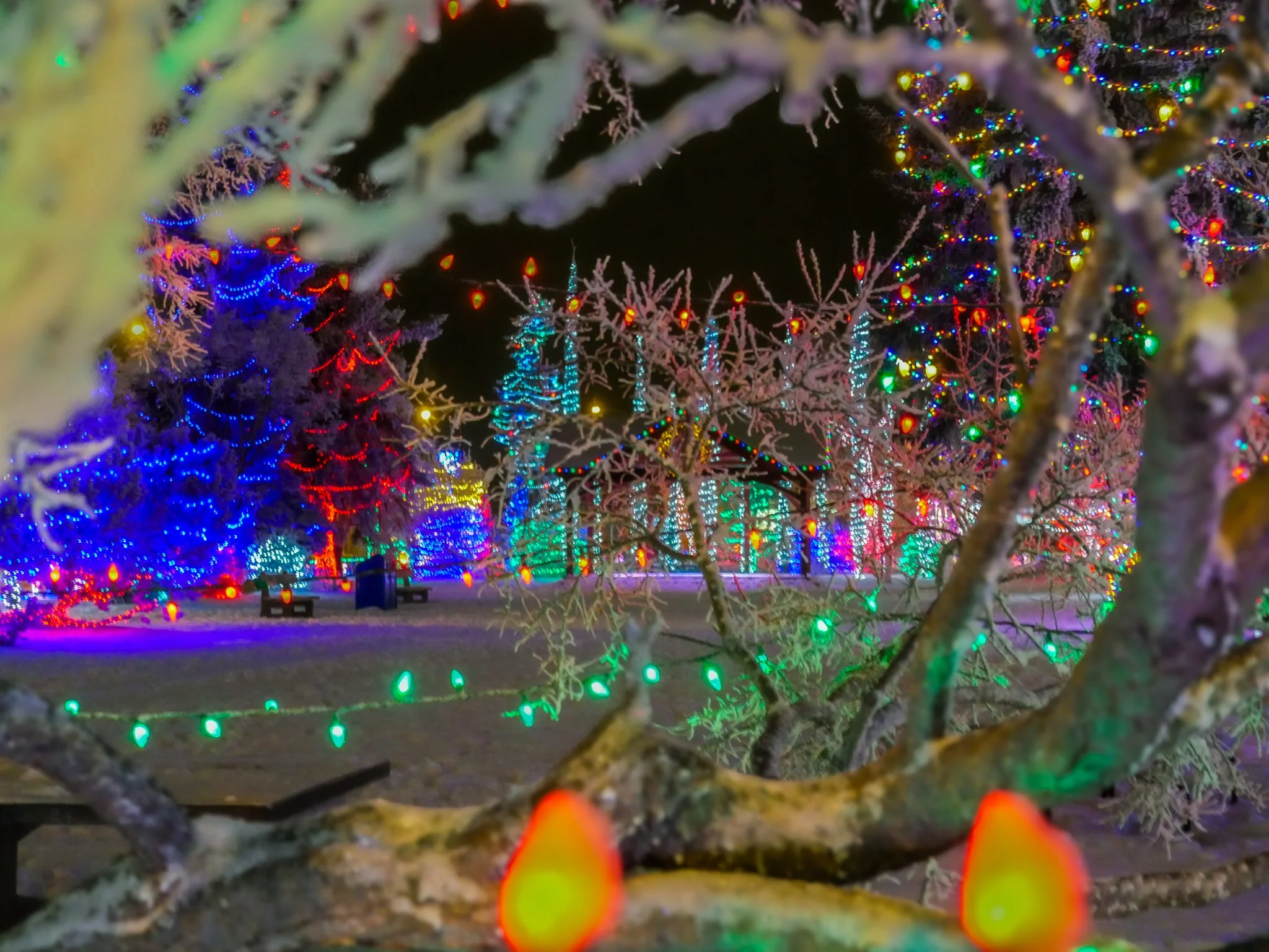 City of Lacombe | Lacombe Memorial Centre | Christmas Light Display
