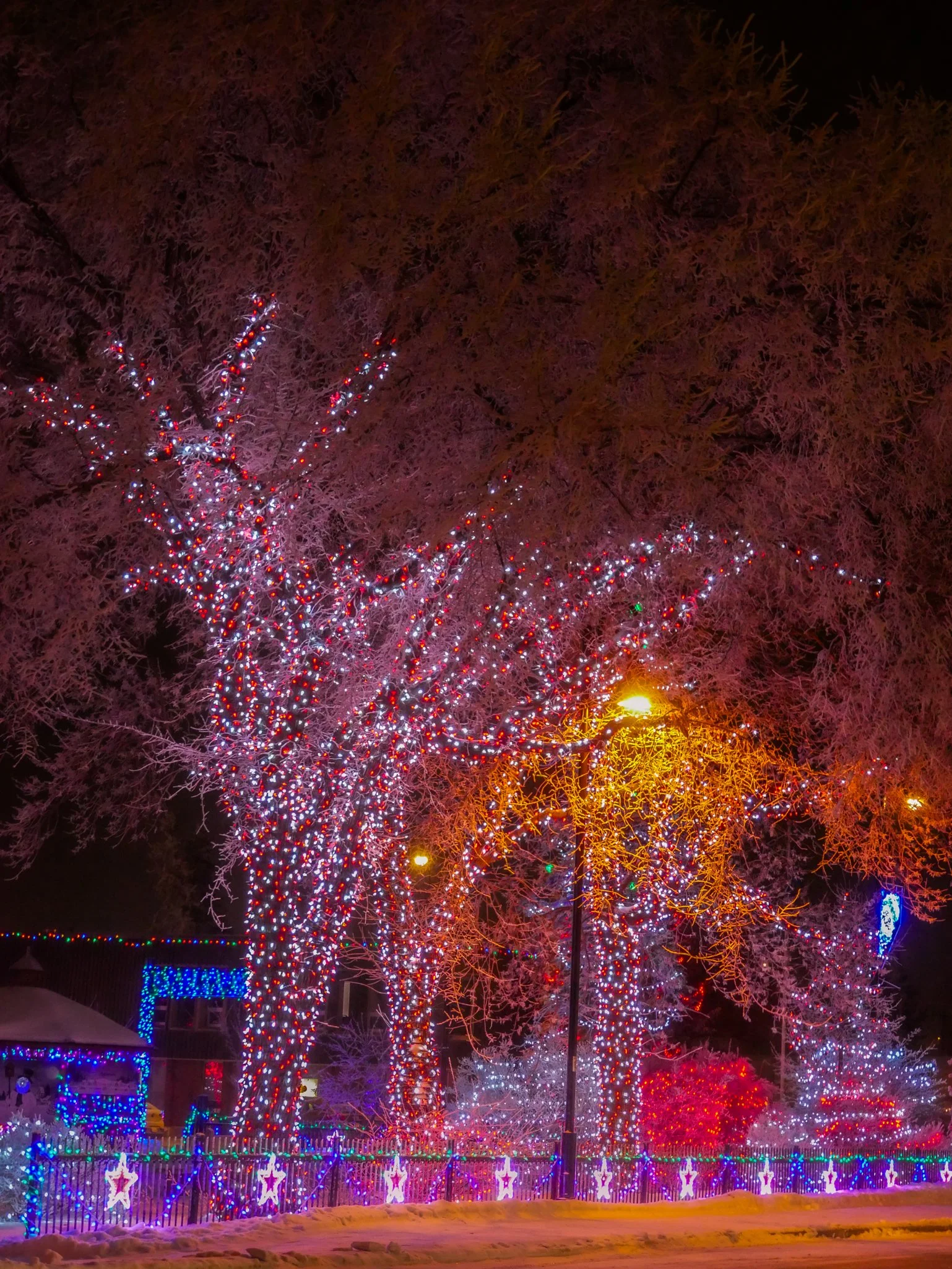City of Lacombe | Lacombe Memorial Centre | Christmas Light Display