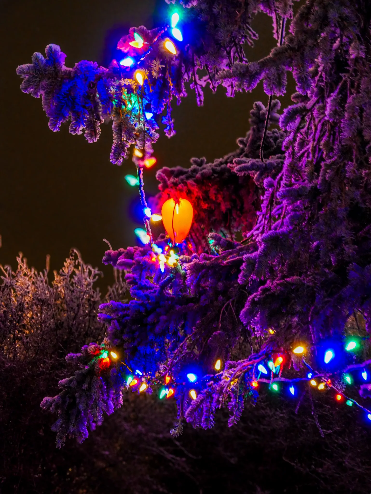 City of Lacombe | Lacombe Memorial Centre | Christmas Light Display