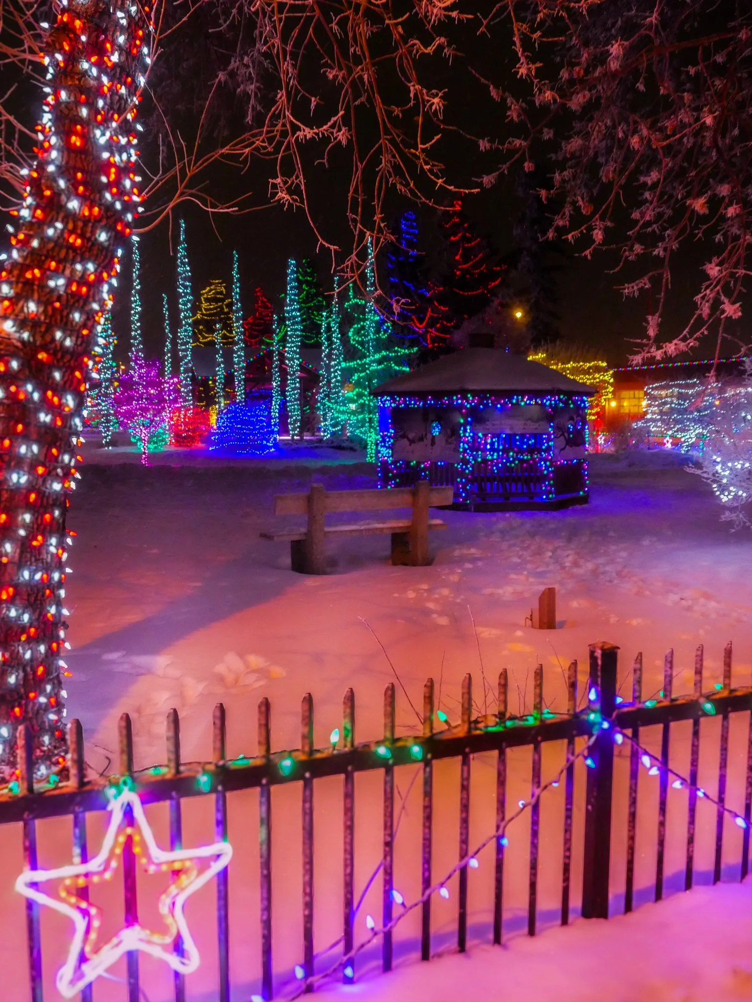 City of Lacombe | Lacombe Memorial Centre | Christmas Light Display