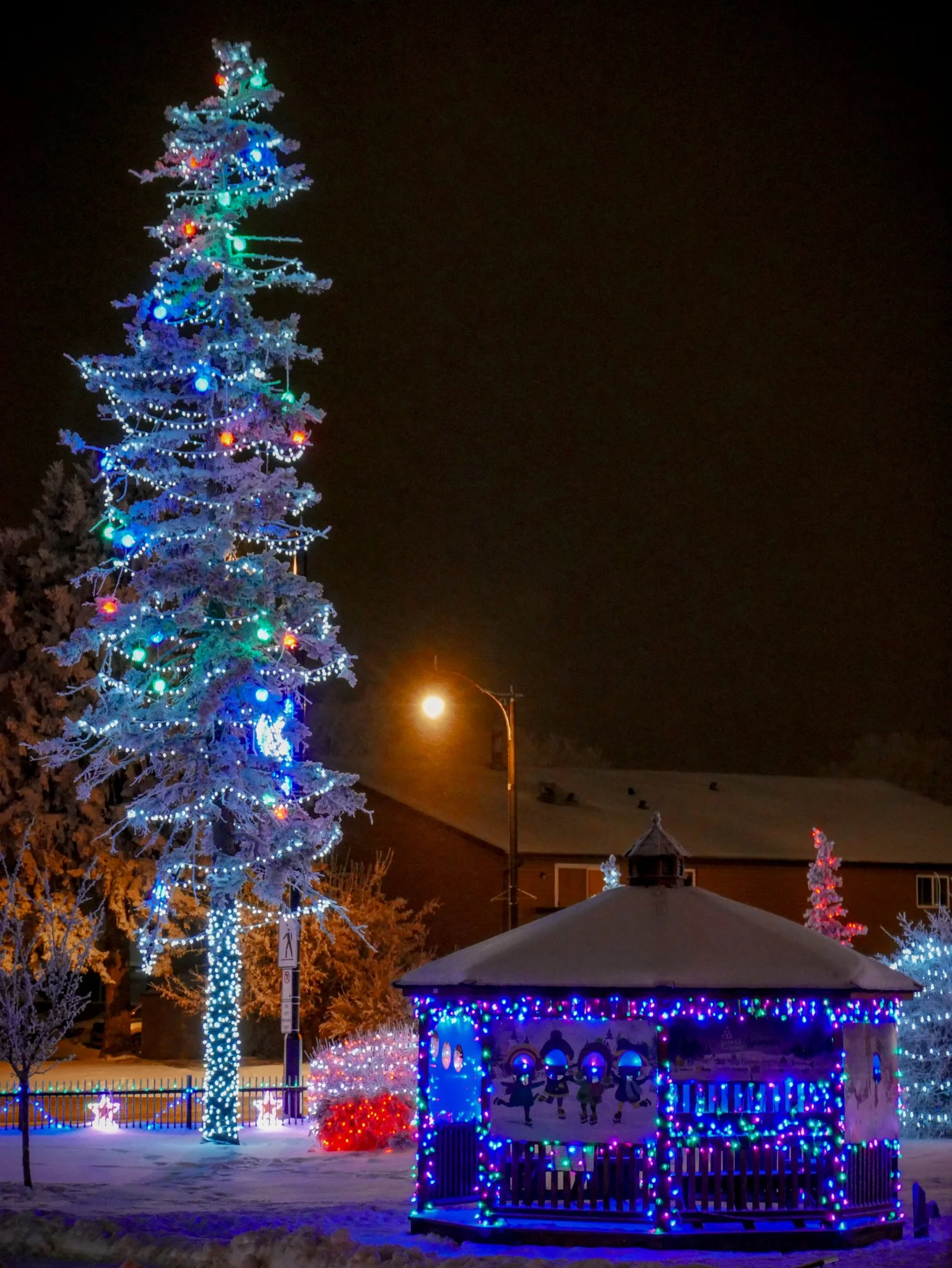 City of Lacombe | Lacombe Memorial Centre | Christmas Light Display