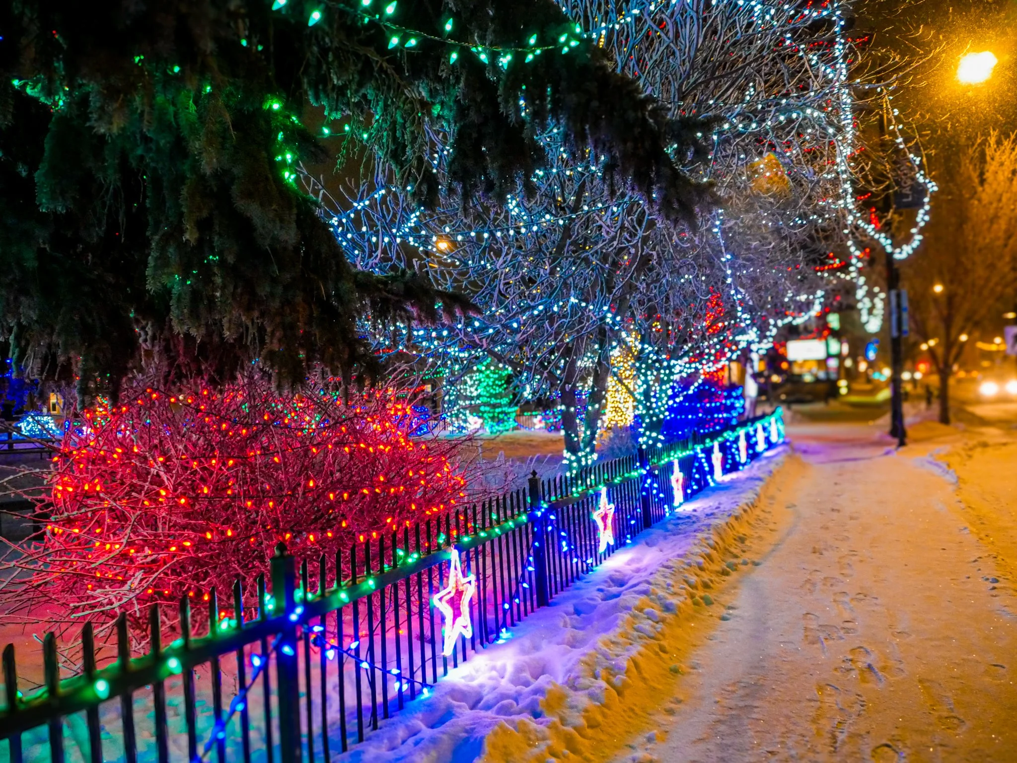 City of Lacombe | Lacombe Memorial Centre | Christmas Light Display