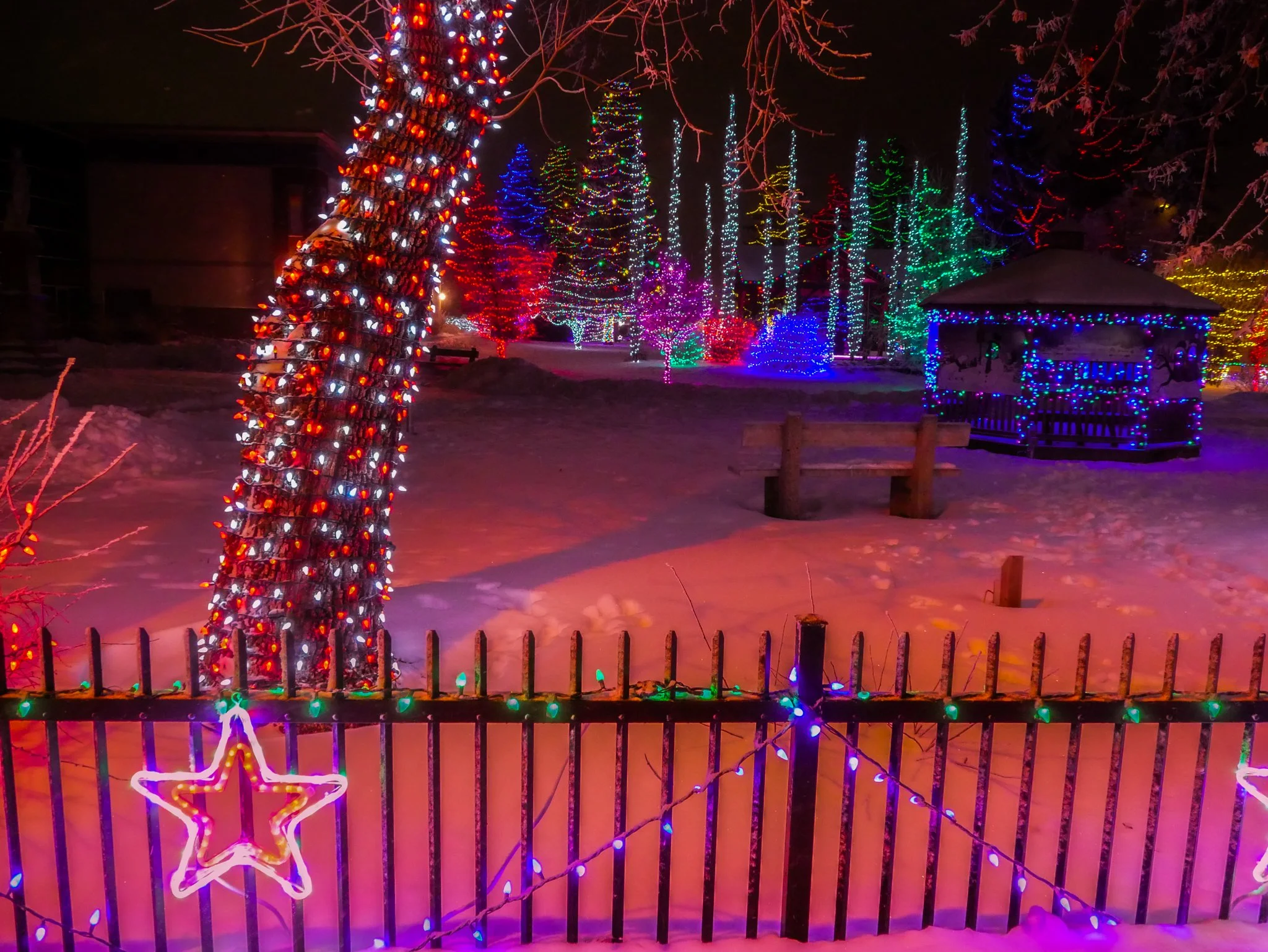 City of Lacombe | Lacombe Memorial Centre | Christmas Light Display