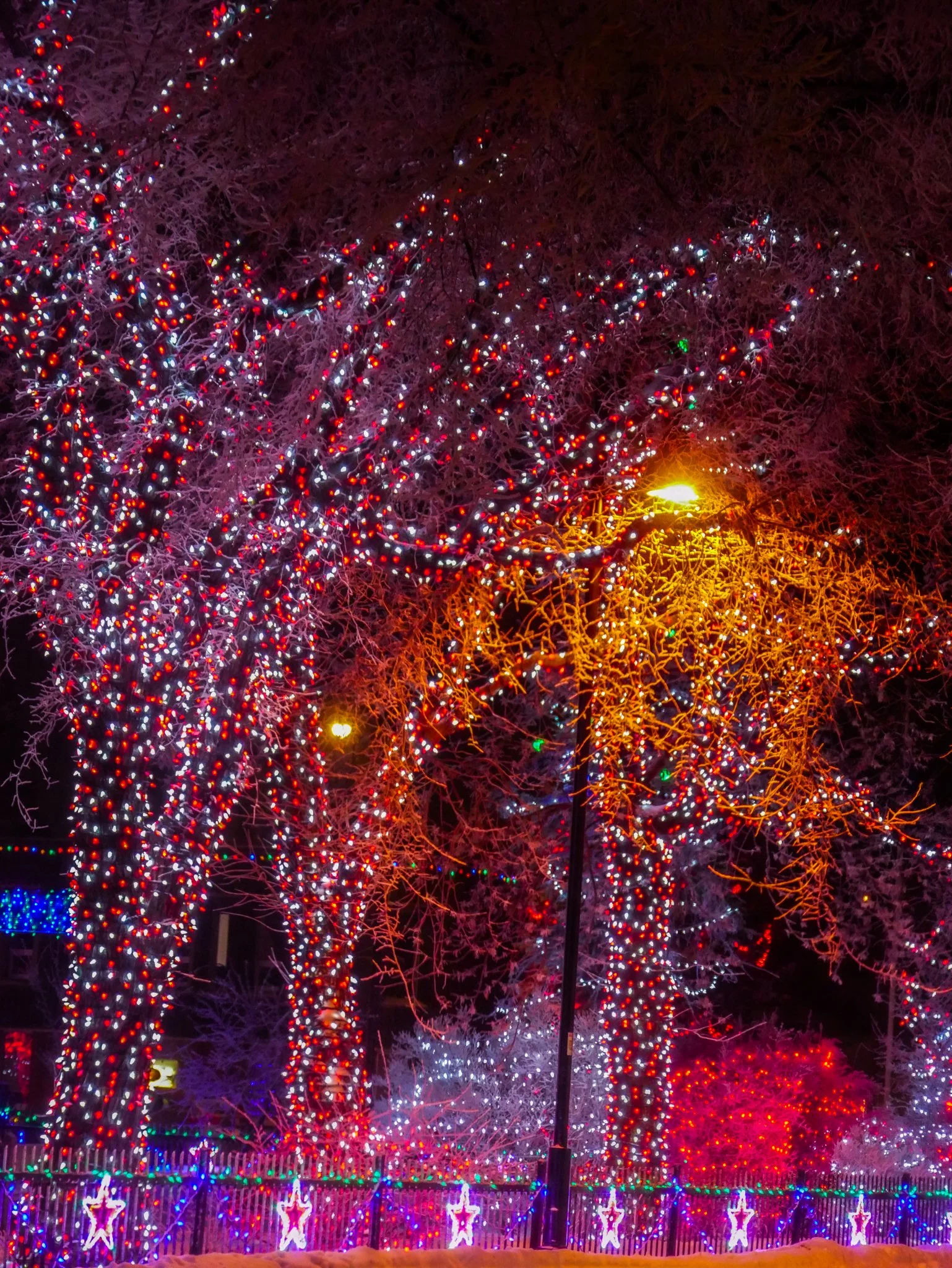 City of Lacombe | Lacombe Memorial Centre | Christmas Light Display