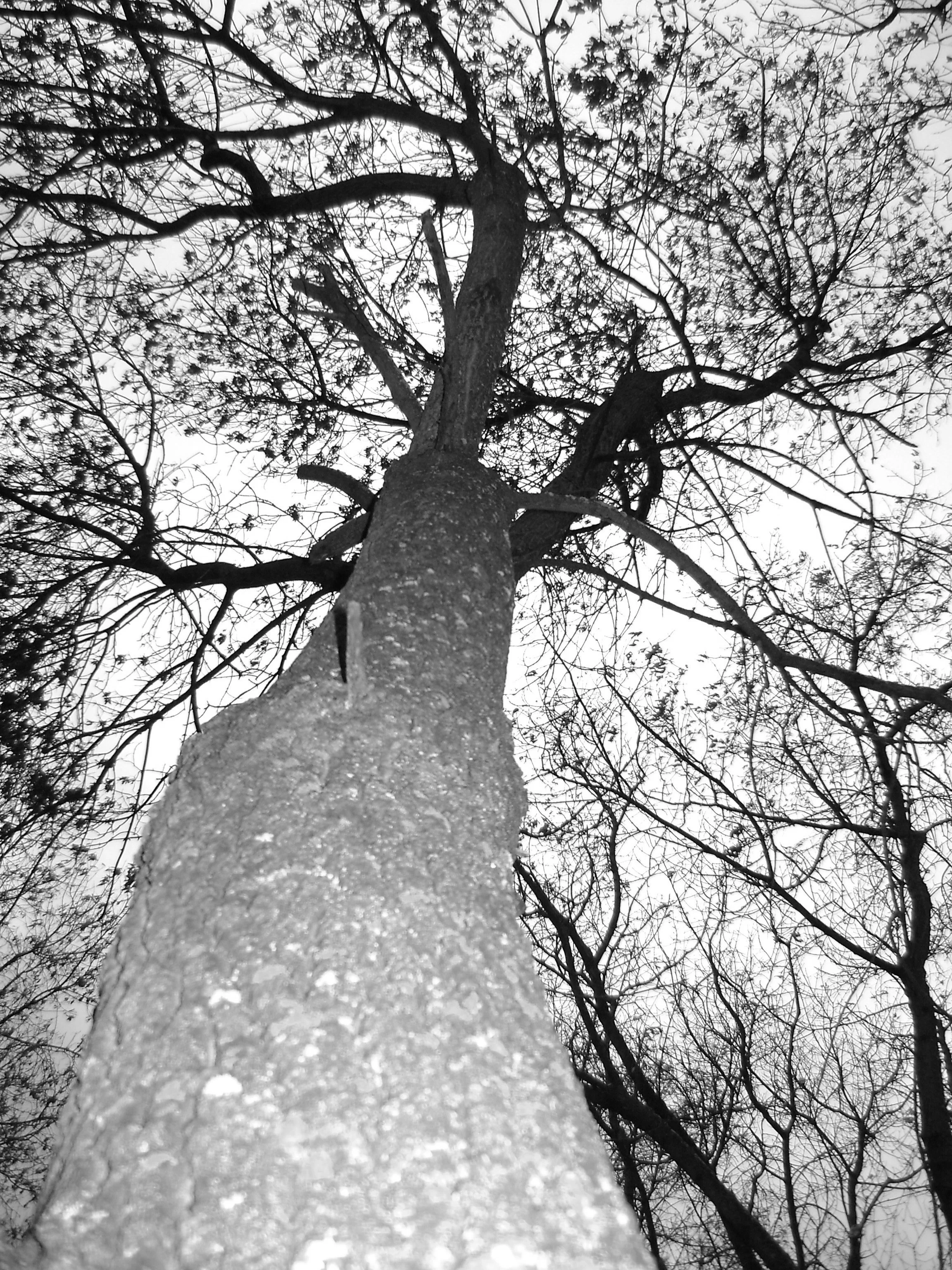 DSC03123black and white.jpg