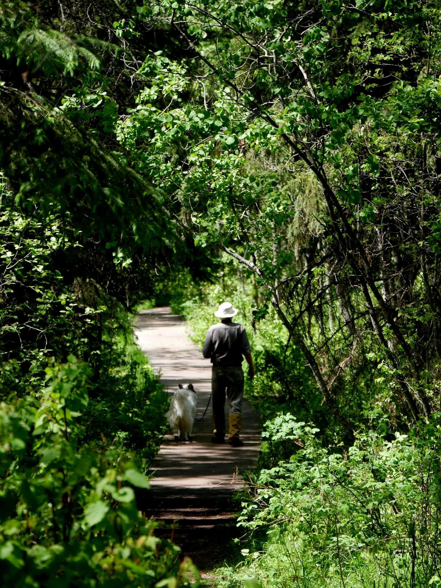 442476717_474520685108217_4506671442880150672_n (1).jpg