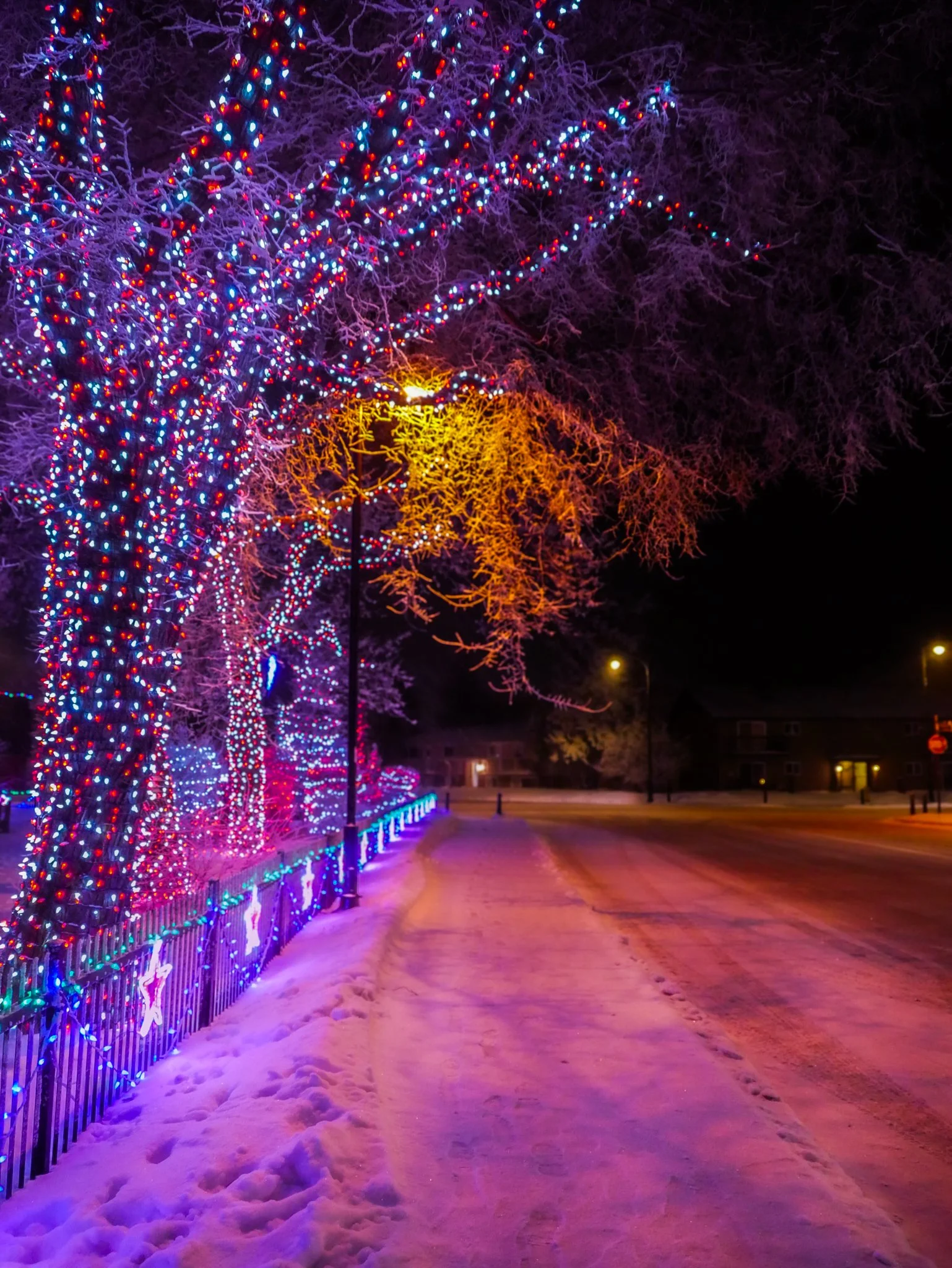 City of Lacombe | Lacombe Memorial Centre | Christmas Light Display