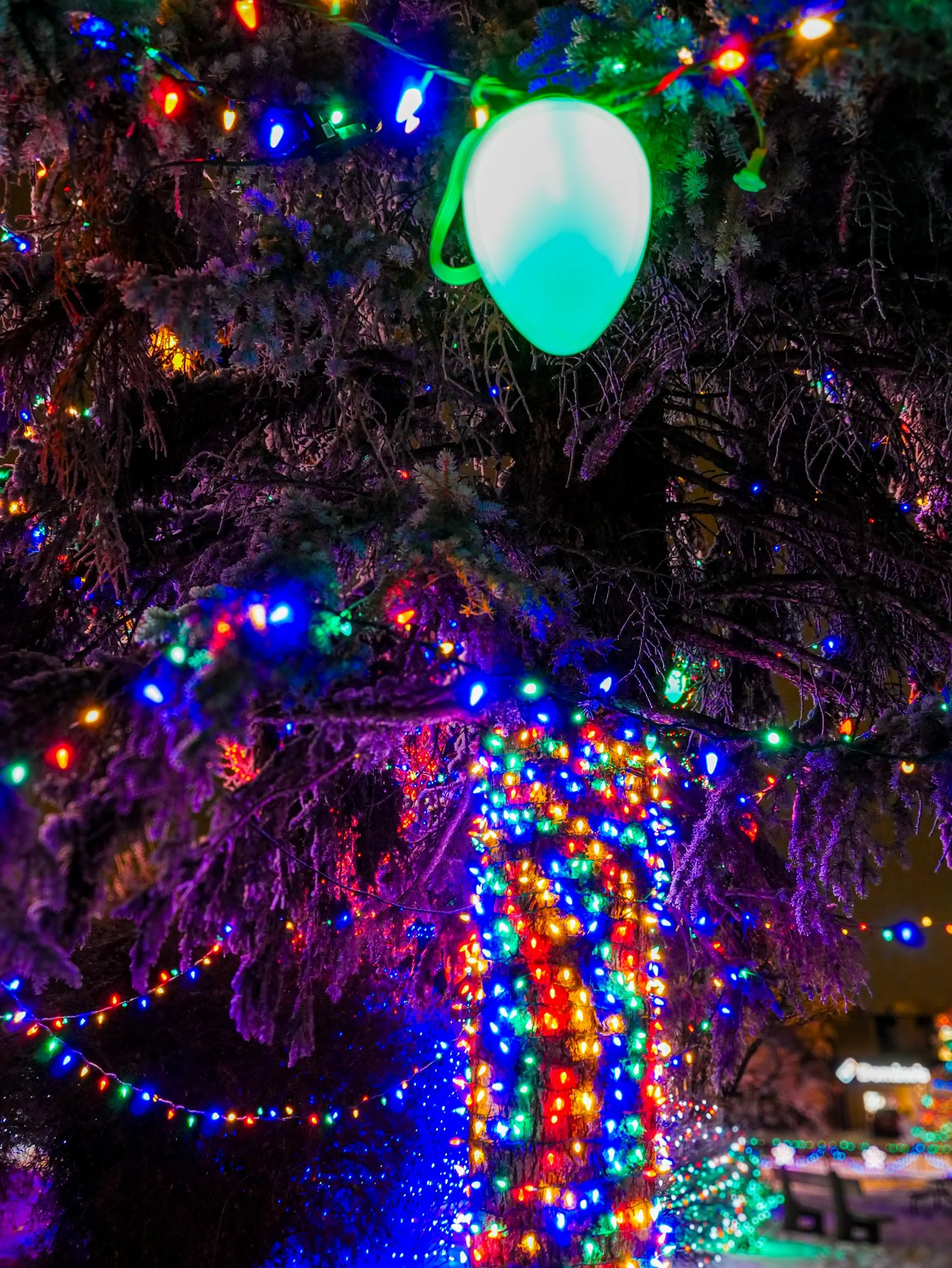 City of Lacombe | Lacombe Memorial Centre | Christmas Light Display