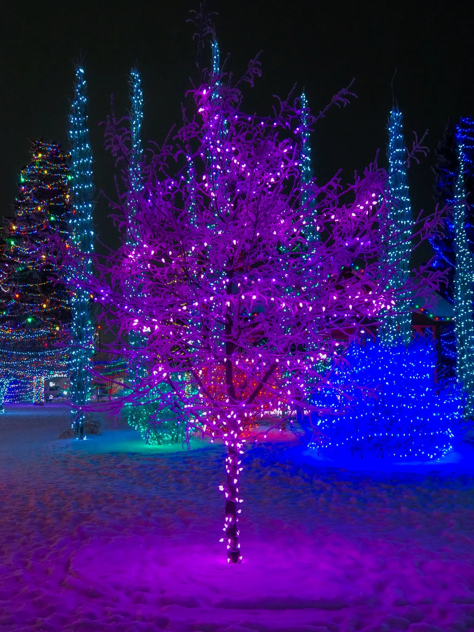 City of Lacombe | Lacombe Memorial Centre | Christmas Light Display