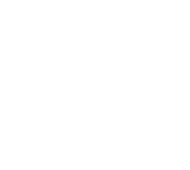 BitMiami