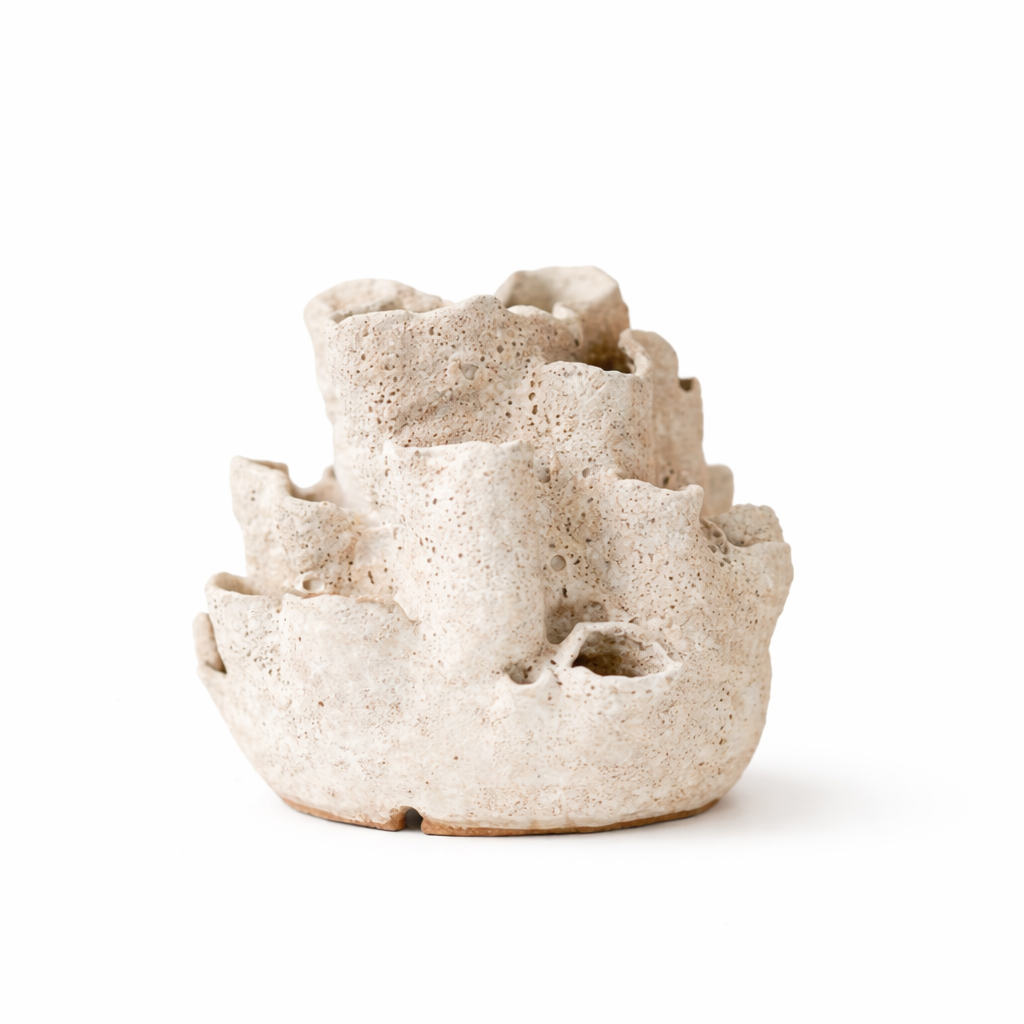 Jayne Papalia Coral Loves Zooxanthellae #2 Ceramic 340 x 35 x 33.PNG