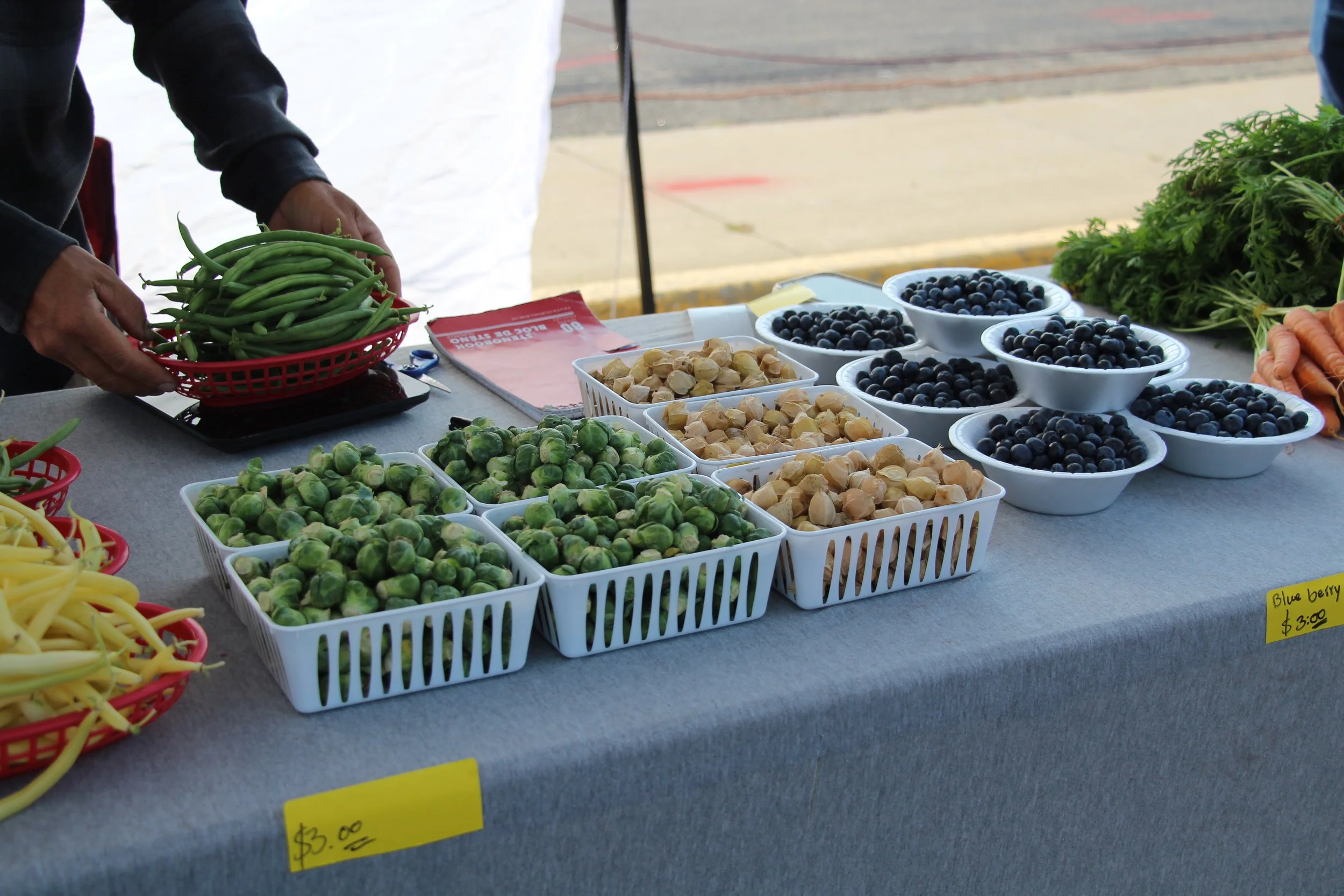 Seasonality — Healthy People Wood County