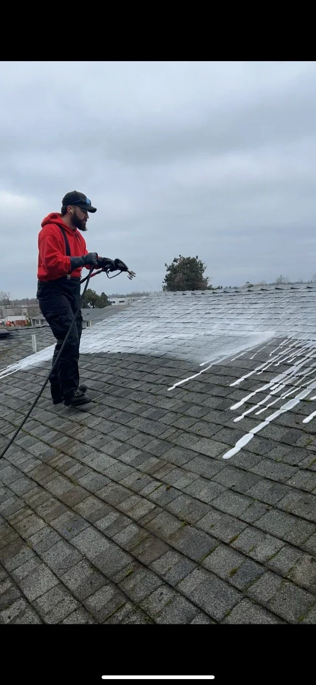 The Ultimate Guide - Roof Cleaning