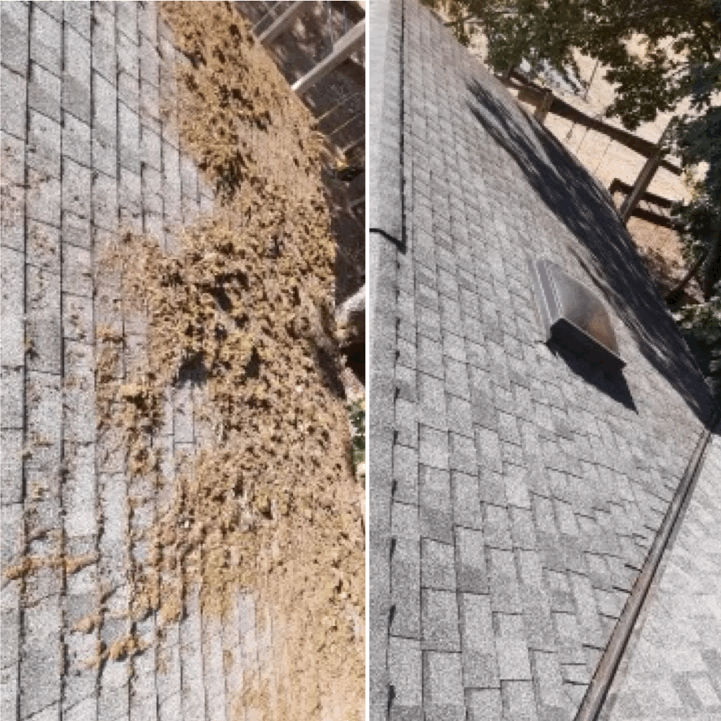 Protect Your Home and Increase Curb Appeal with Professional Roof Cleaning Services in Salem, Oregon