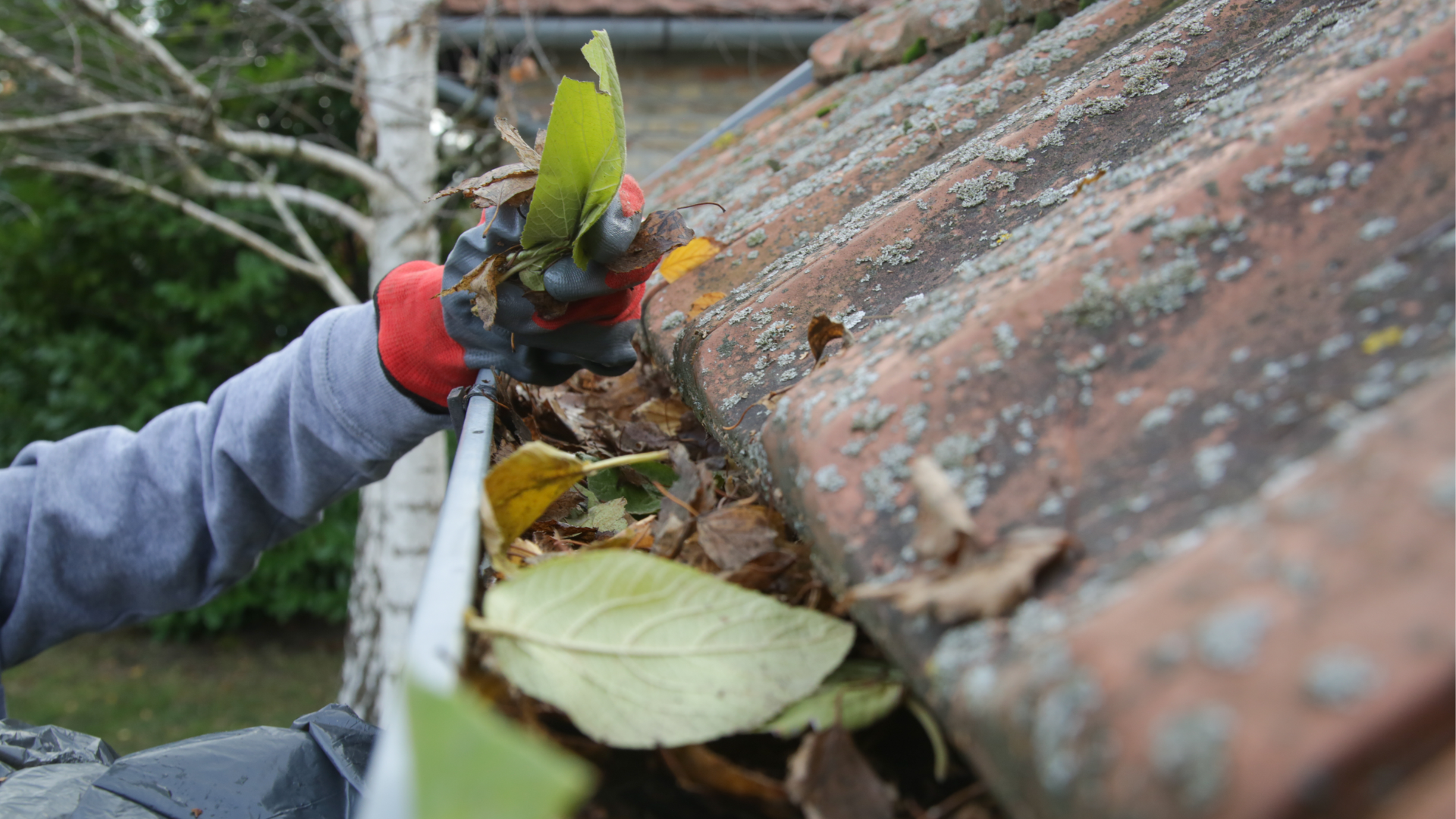 Top 5 Reasons Your Roof Needs Regular Cleaning