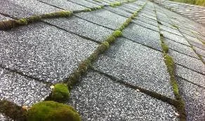 Uncovering the Best Strategies way to kill Moss on Roof