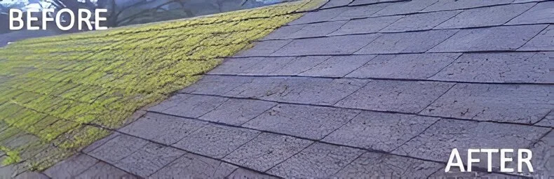 Exploring the Latest and Greatest Roof Moss Treatment Methods