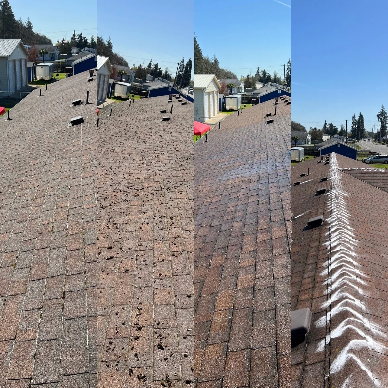 Roof Cleaning Salem Oregon Clark Solutions